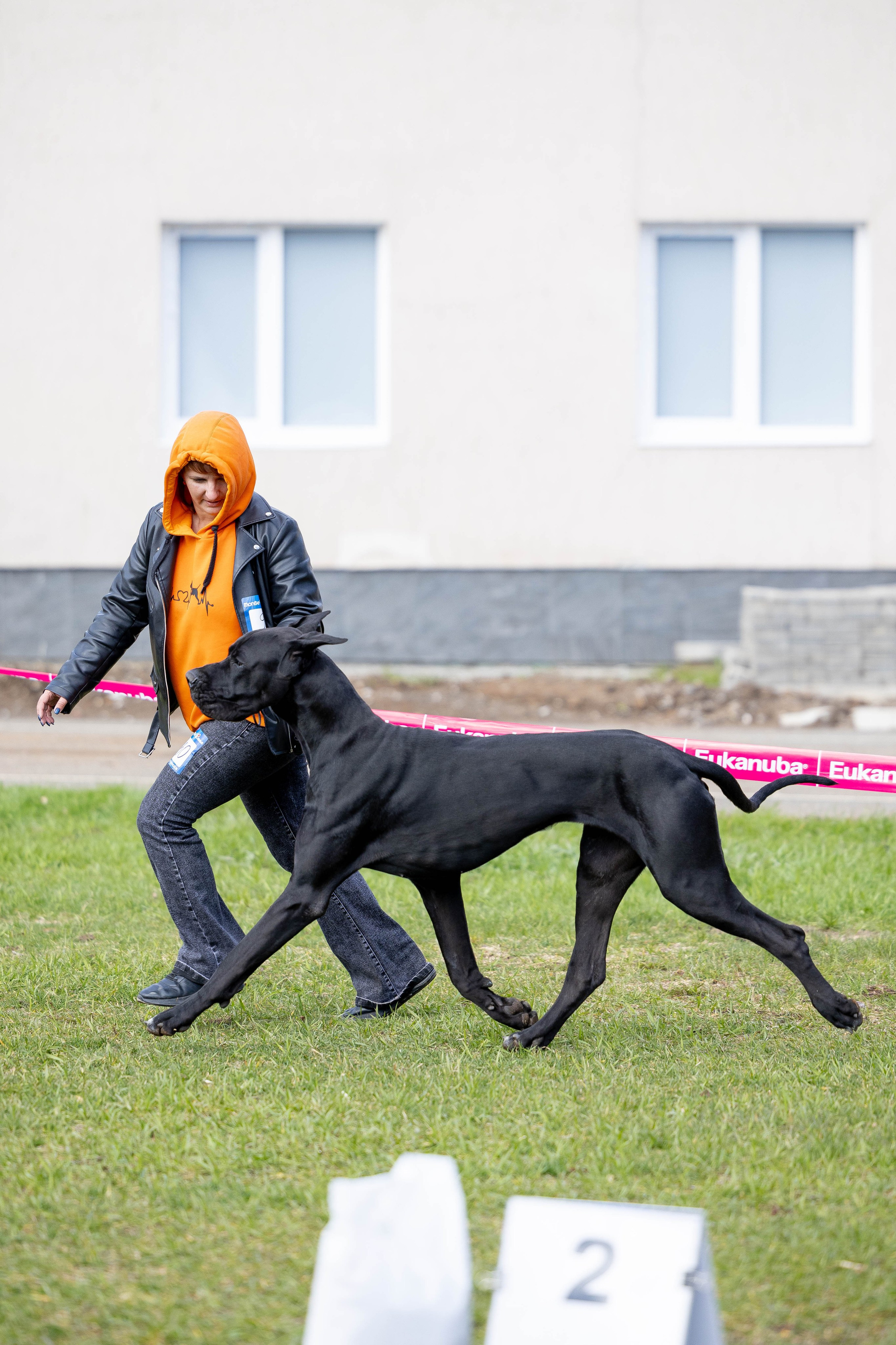 Фотограф Анималист в Перми Анастасия Остерман