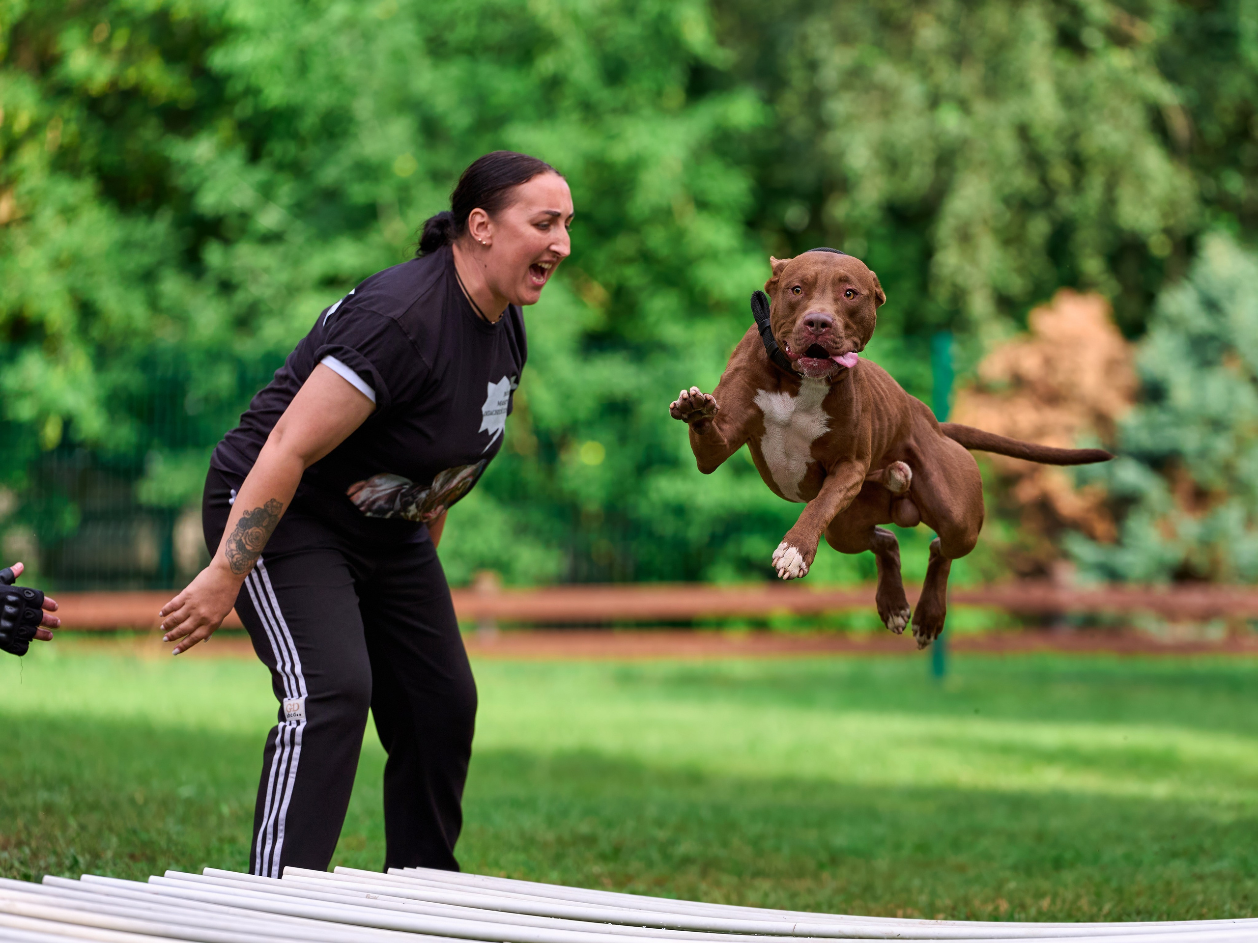 Jump'n'Gym JUMP! — 2024. Фотограф-анималист Михаил Манухин