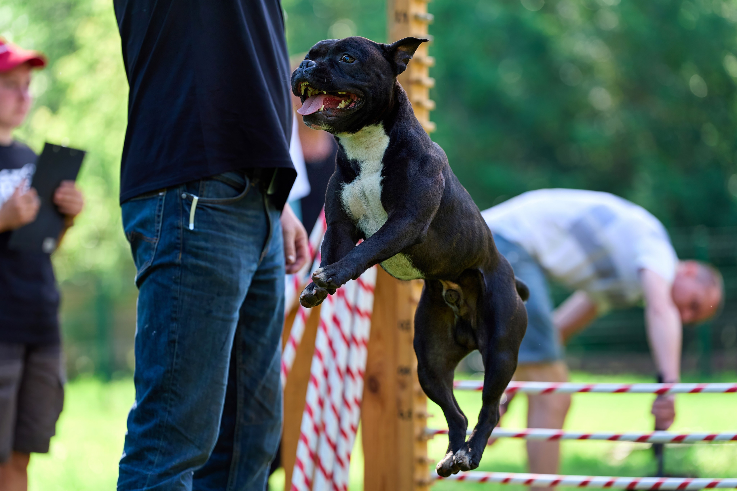 Двухдневные соревнования «Jump'n'Gym Fest — 2024». Фотограф-анималист Михаил Манухин