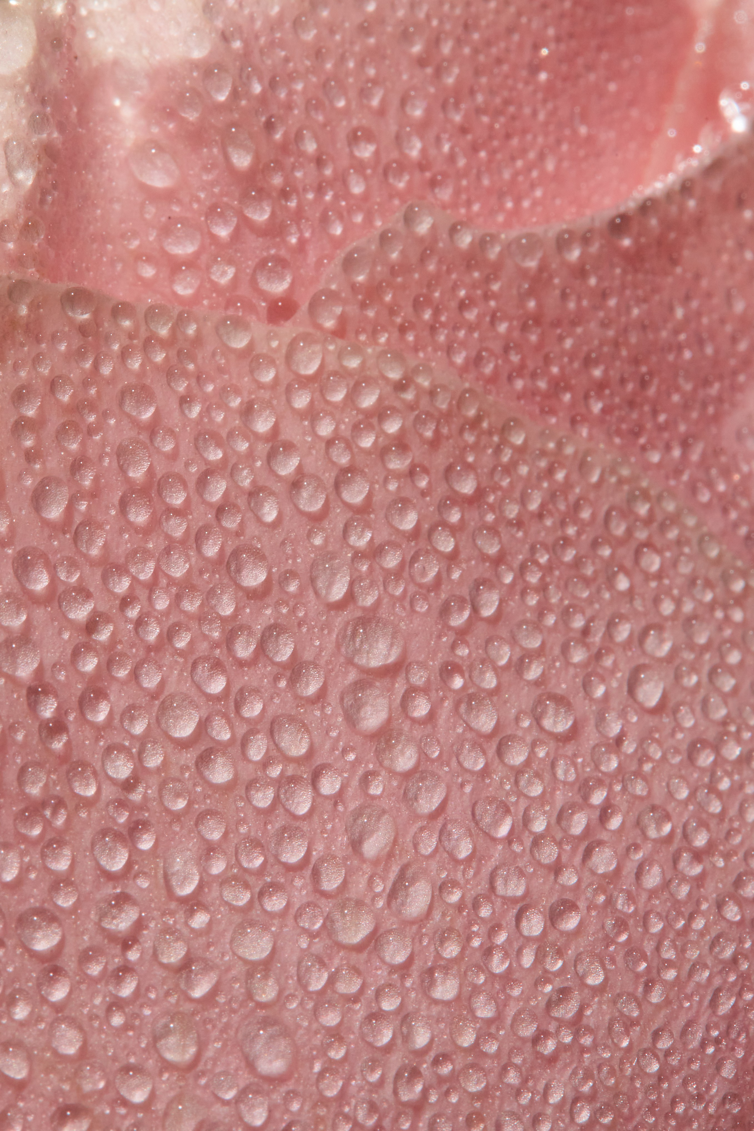 HEYDAY. Daria Blinova