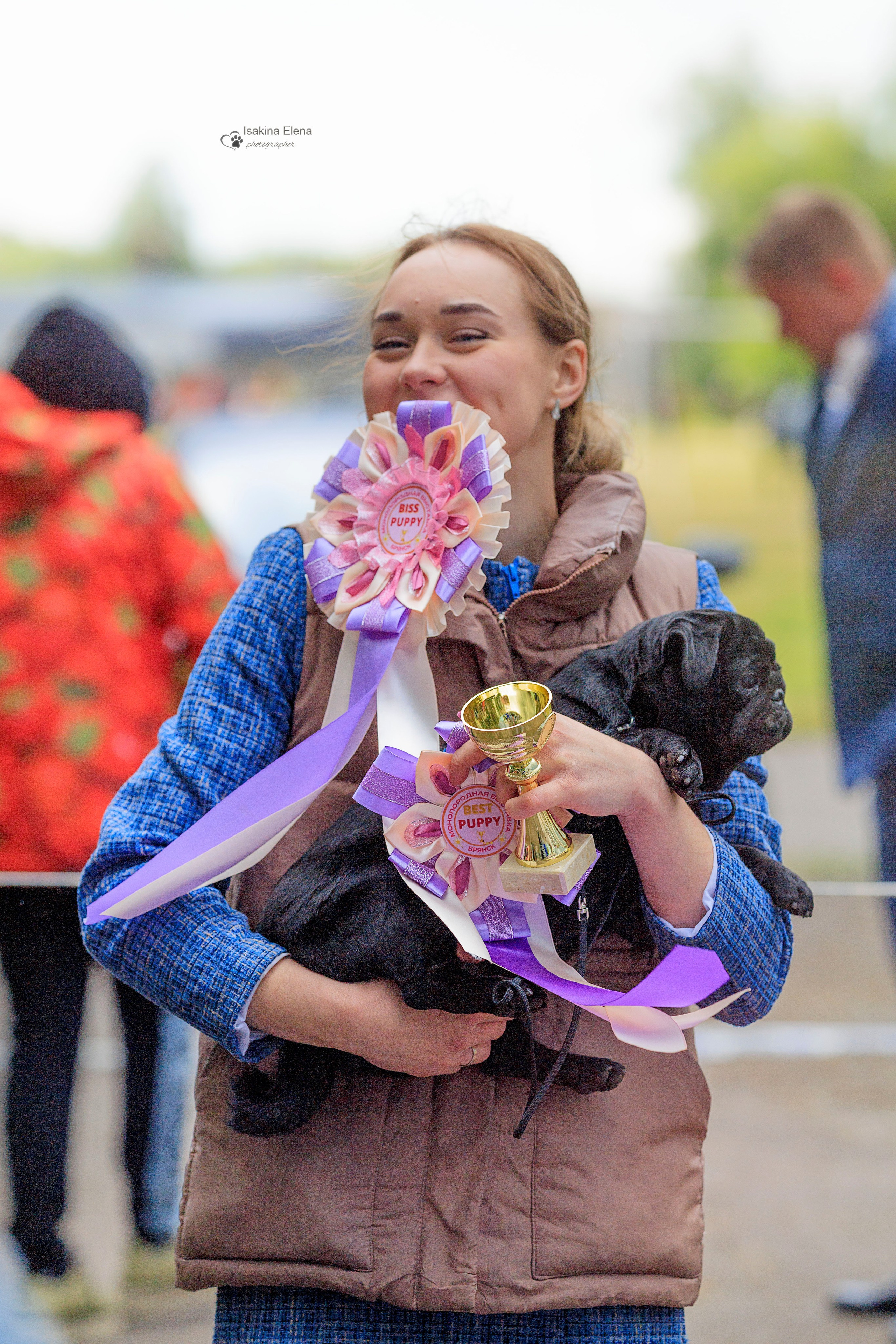 Разные красивые фотографии. Купить щенка Вельш-корги-кардиган в семейном питомнике — Ice Fantasy