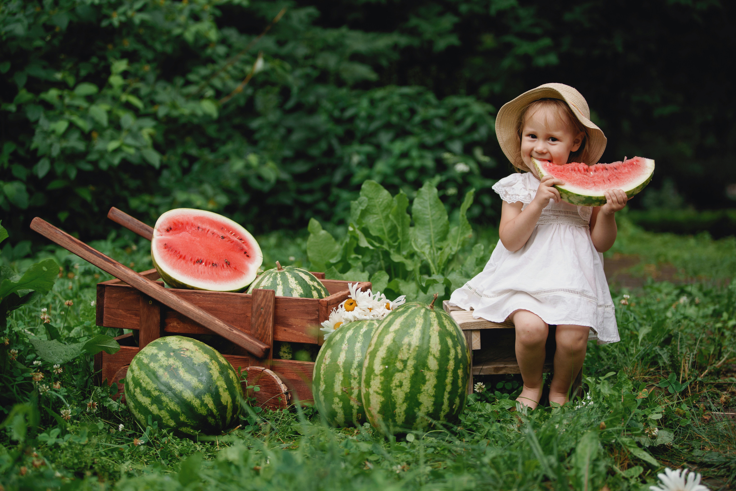 Фотосессия с арбузами. Фотомастерская Воробьевых