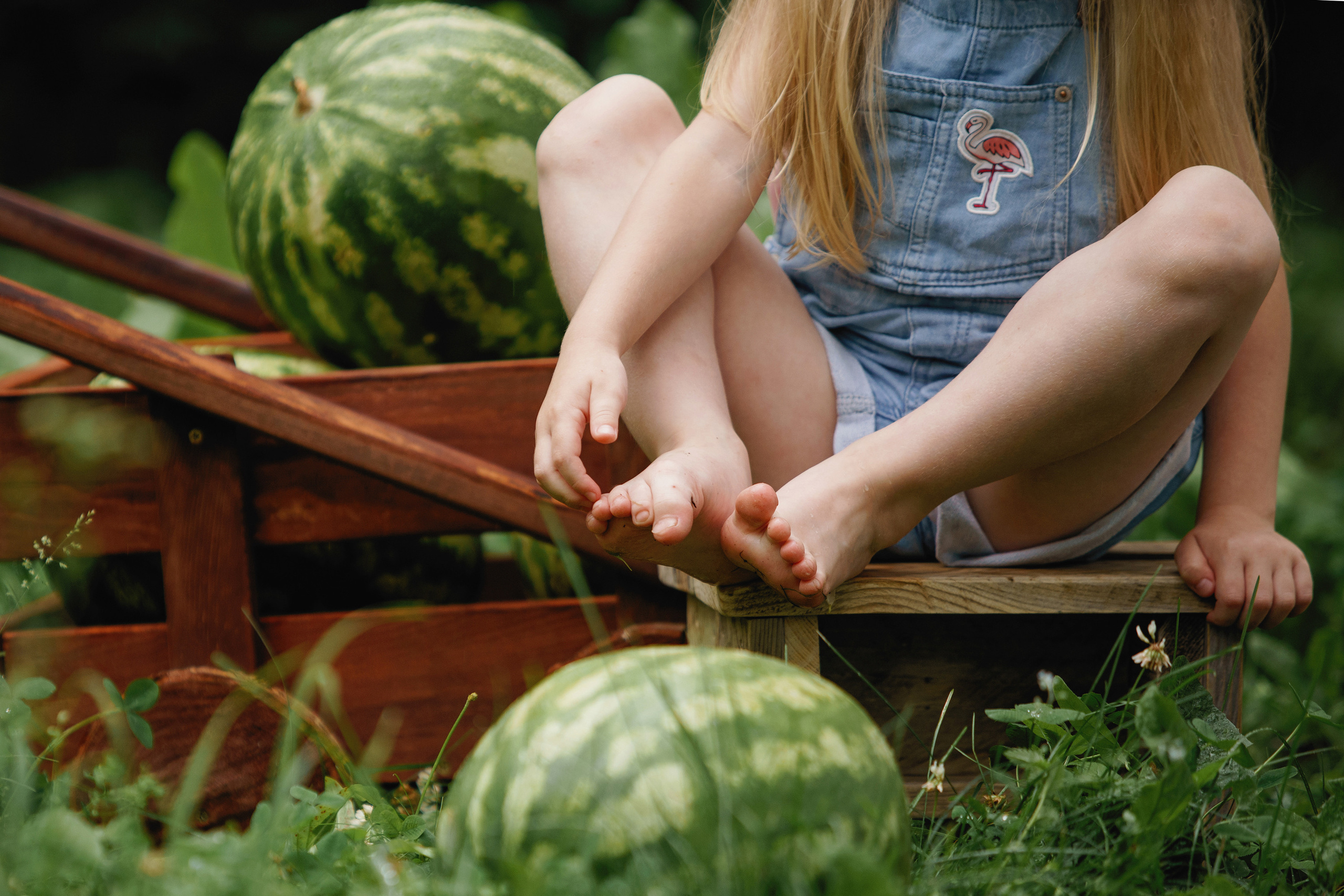 Фотосессия с арбузами. Фотомастерская Воробьевых