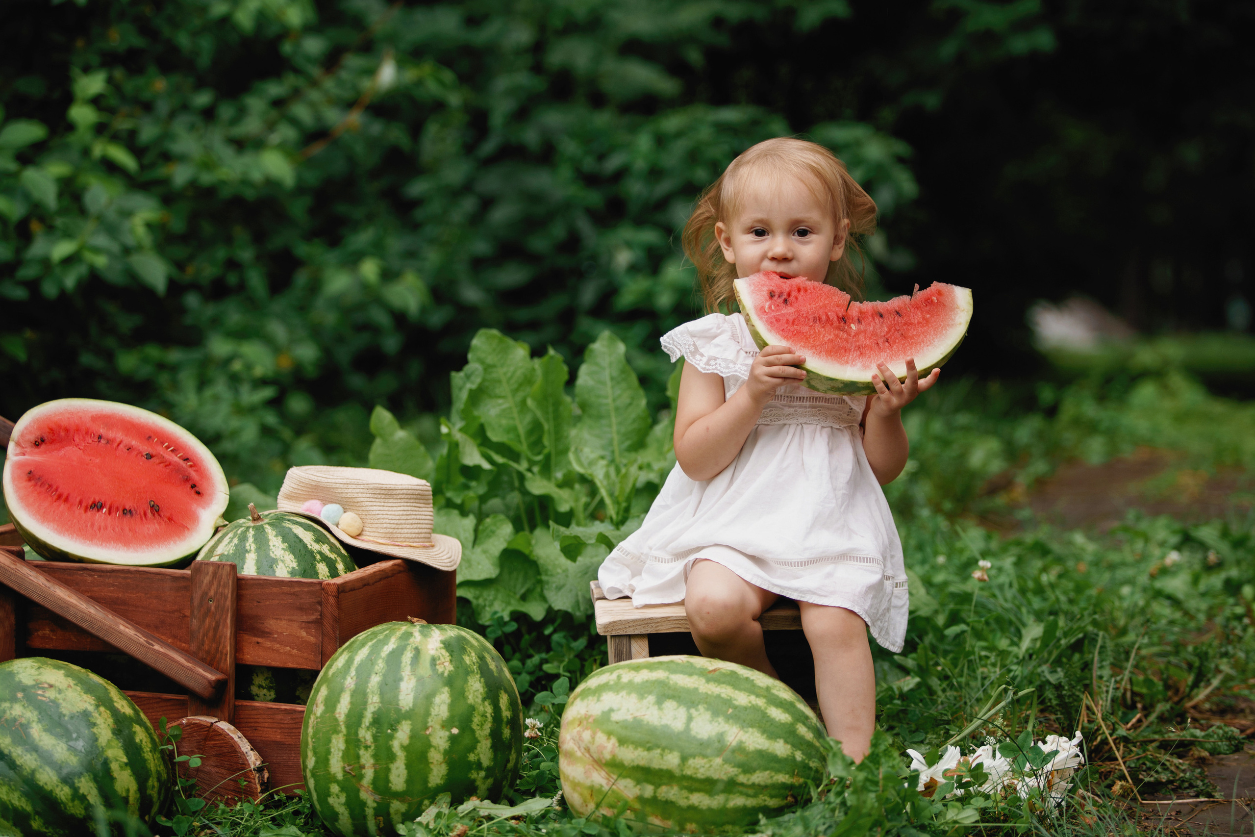 Фотосессия с арбузами. Фотомастерская Воробьевых