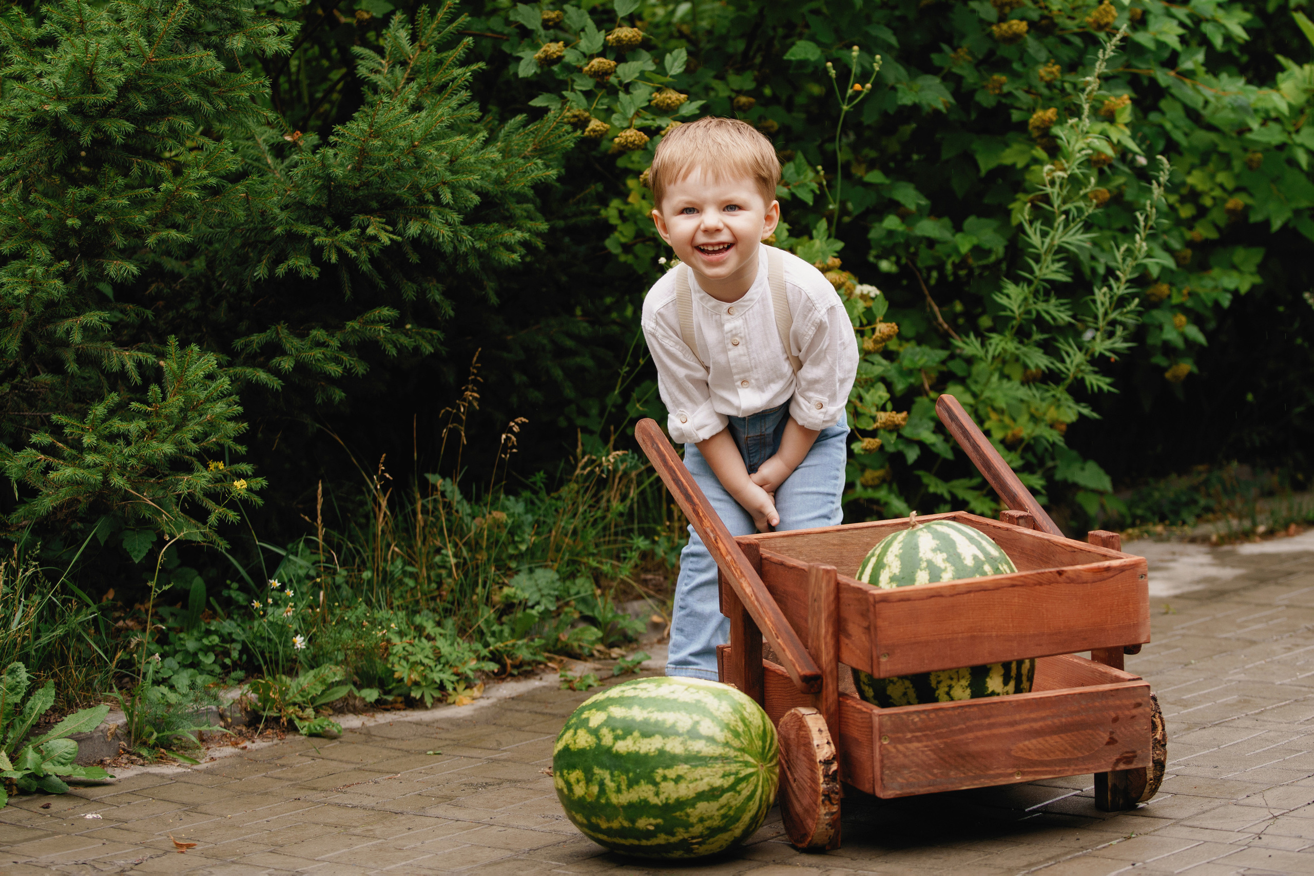 Фотосессия с арбузами. Фотомастерская Воробьевых