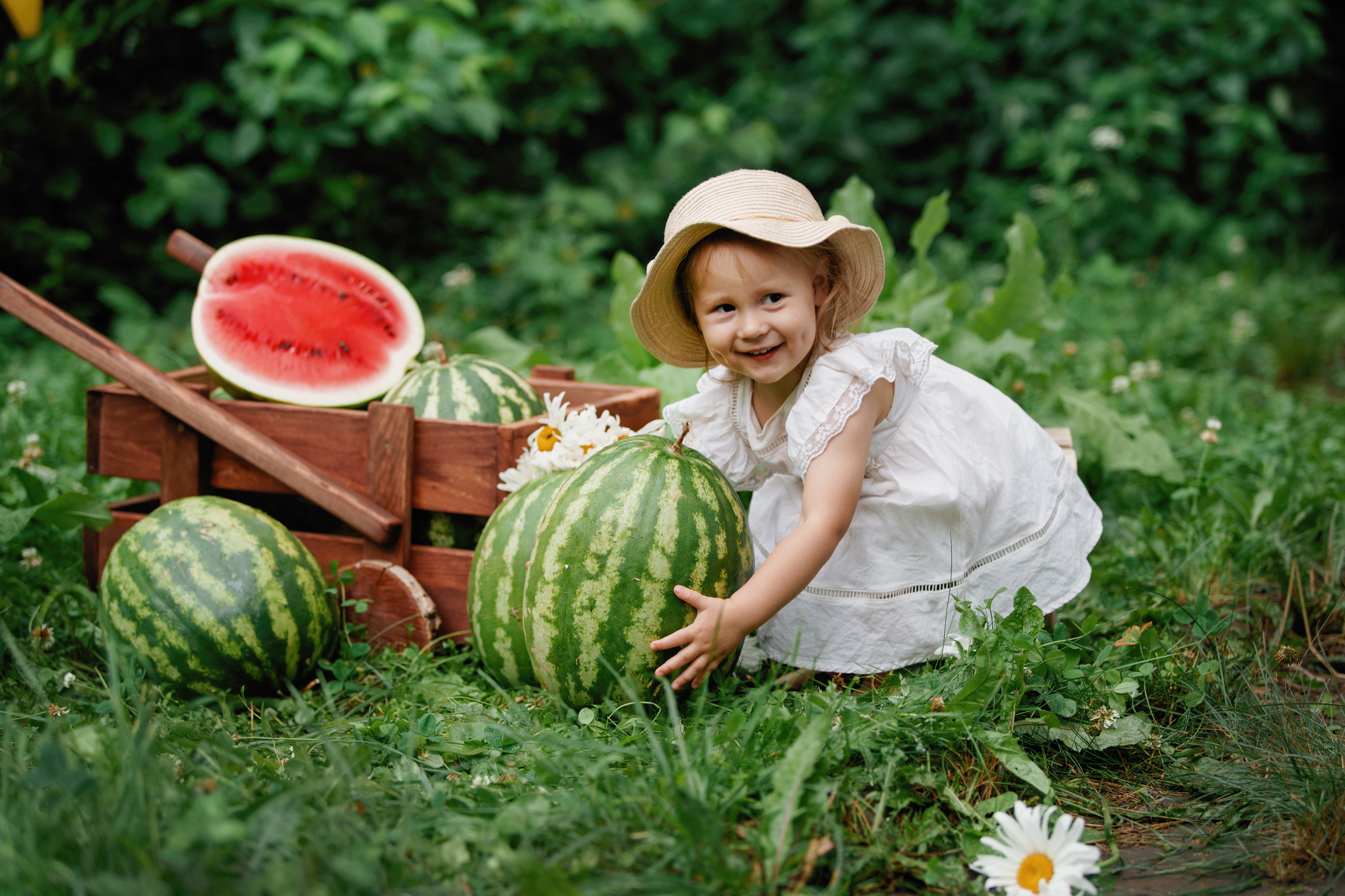 Фотосессия с арбузами. Фотомастерская Воробьевых