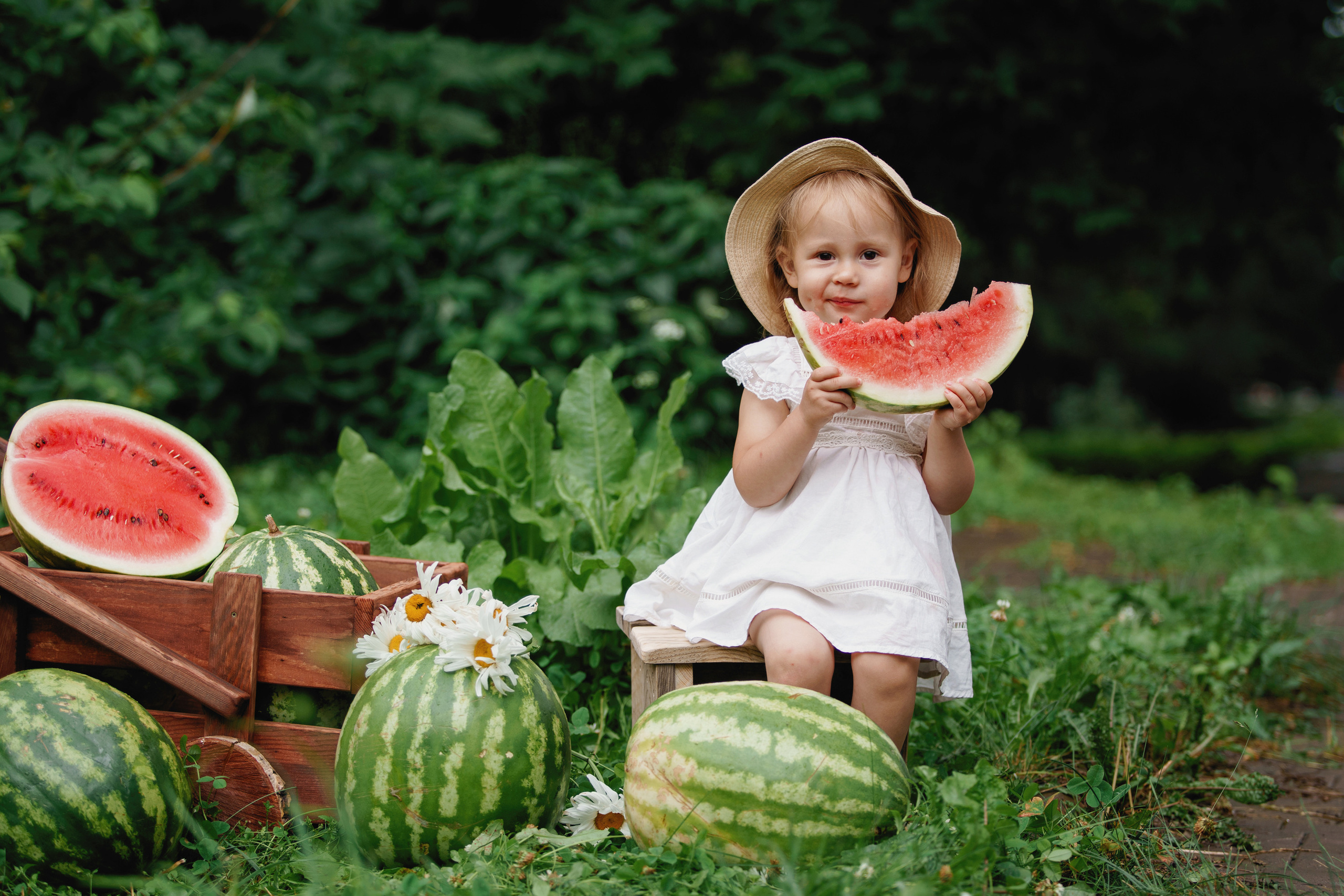 Фотосессия с арбузами. Фотомастерская Воробьевых