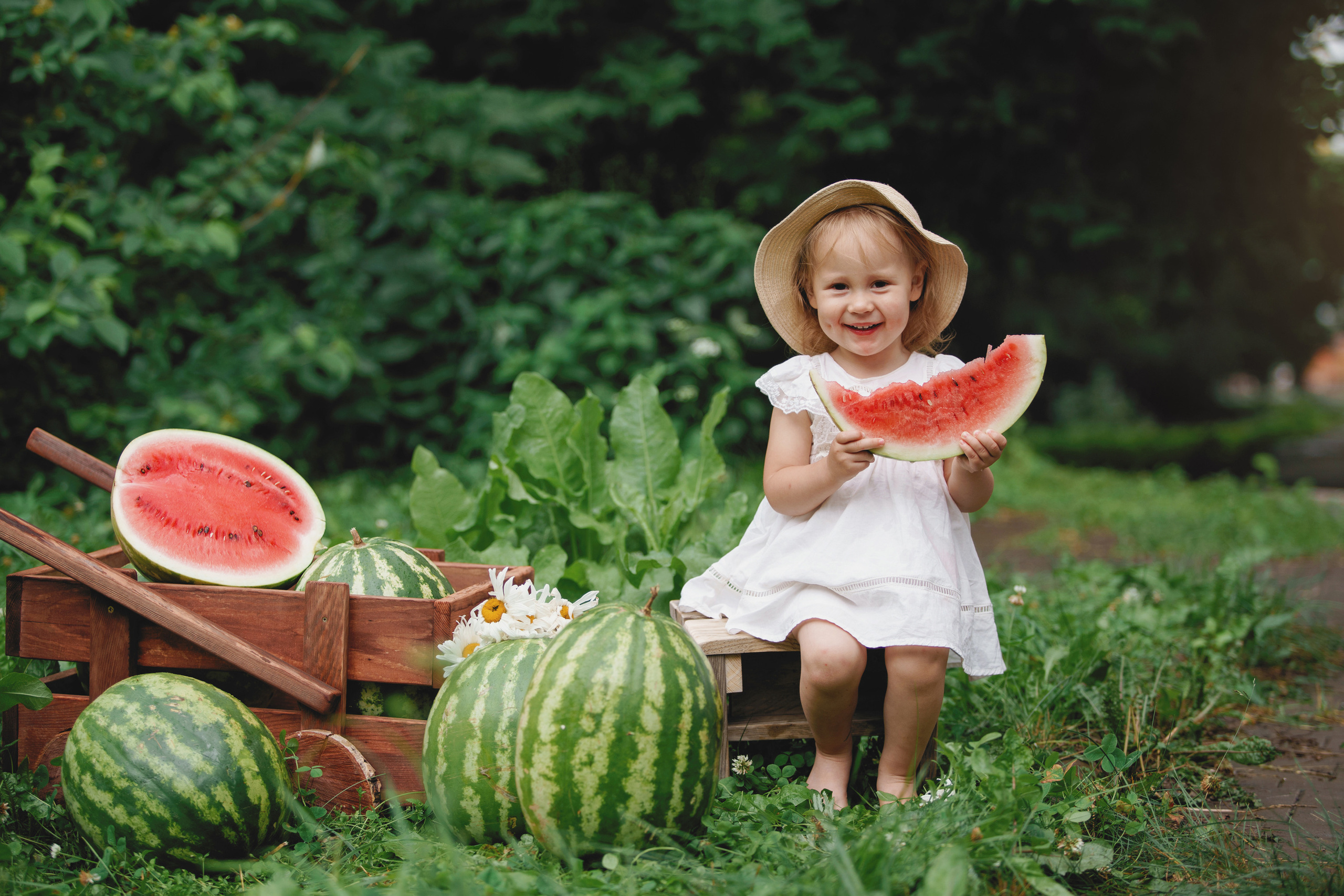 Фотосессия с арбузами. Фотомастерская Воробьевых