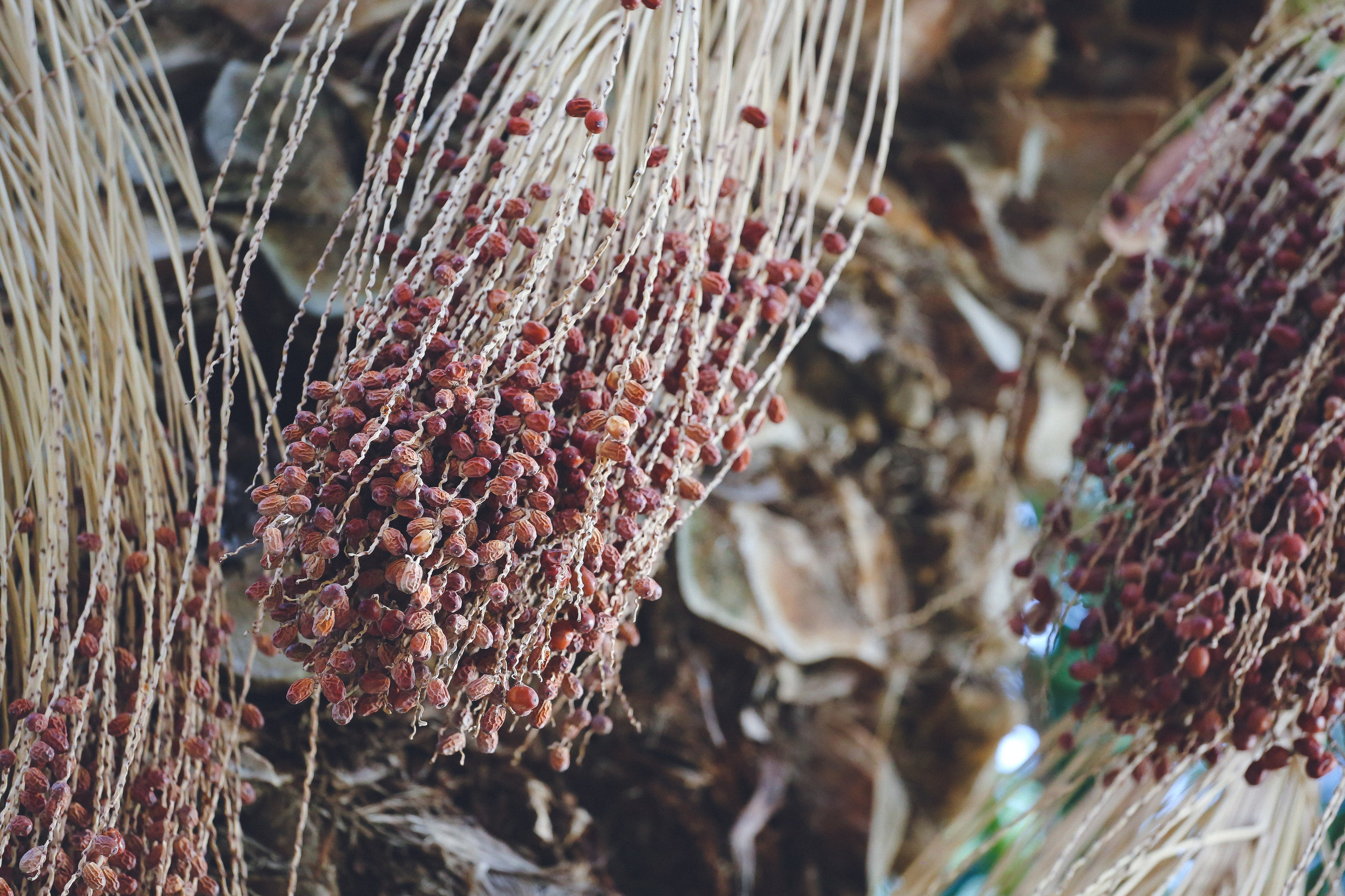 Греция: термальный курорт Лутраки. Дарья Письменюк / Darya Leitstern — фотограф, музыкант, журналист, путешественник