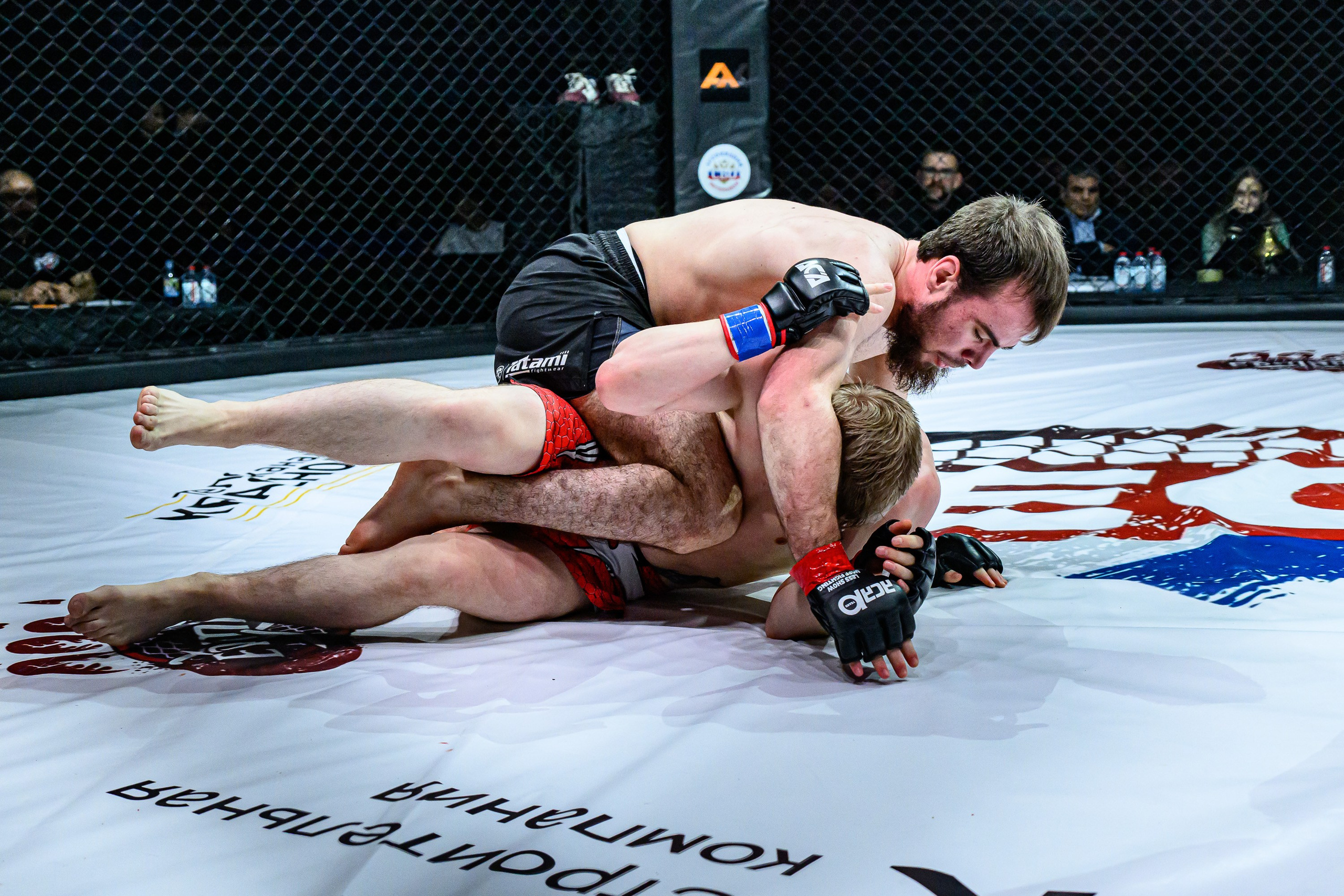 Фотосъемка профессионального турнира по смешанным единоборствам. Профессиональная фотосъемка. Ростов-на-Дону