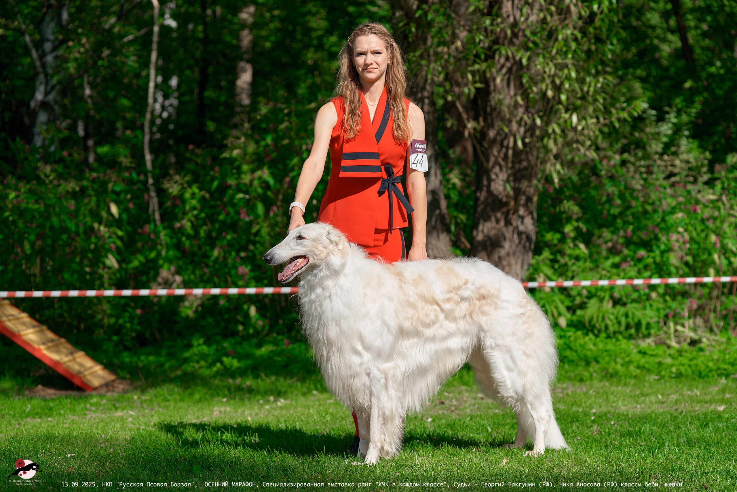 ОСЕННИЙ МАРАФОН | Специализированная выставка породы Русская Псовая Борзая ранг "КЧК в каждом классе"