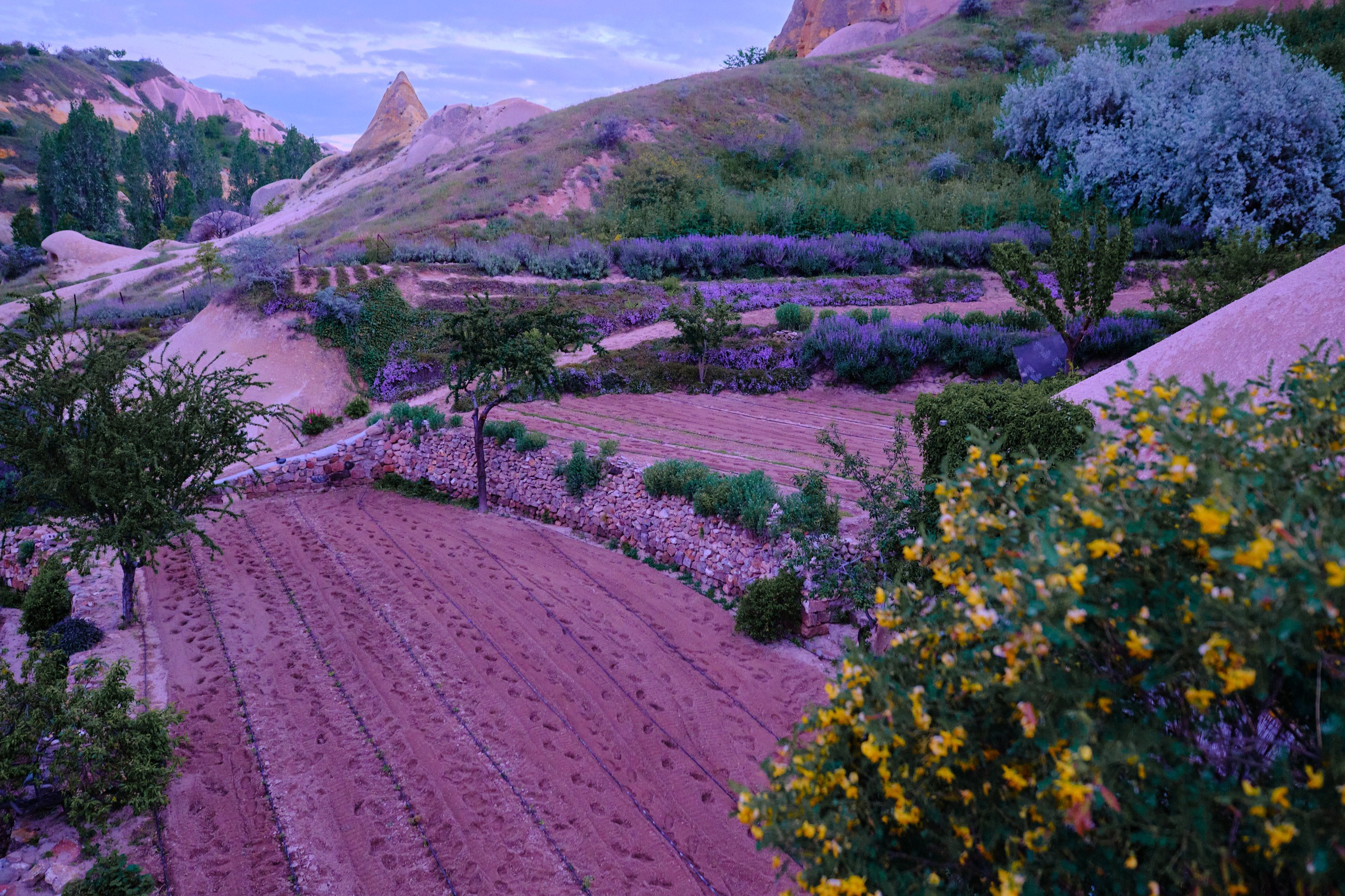 Главная. Юрий Березнюк. Фотограф в Новороссийске. Фотожурналистика