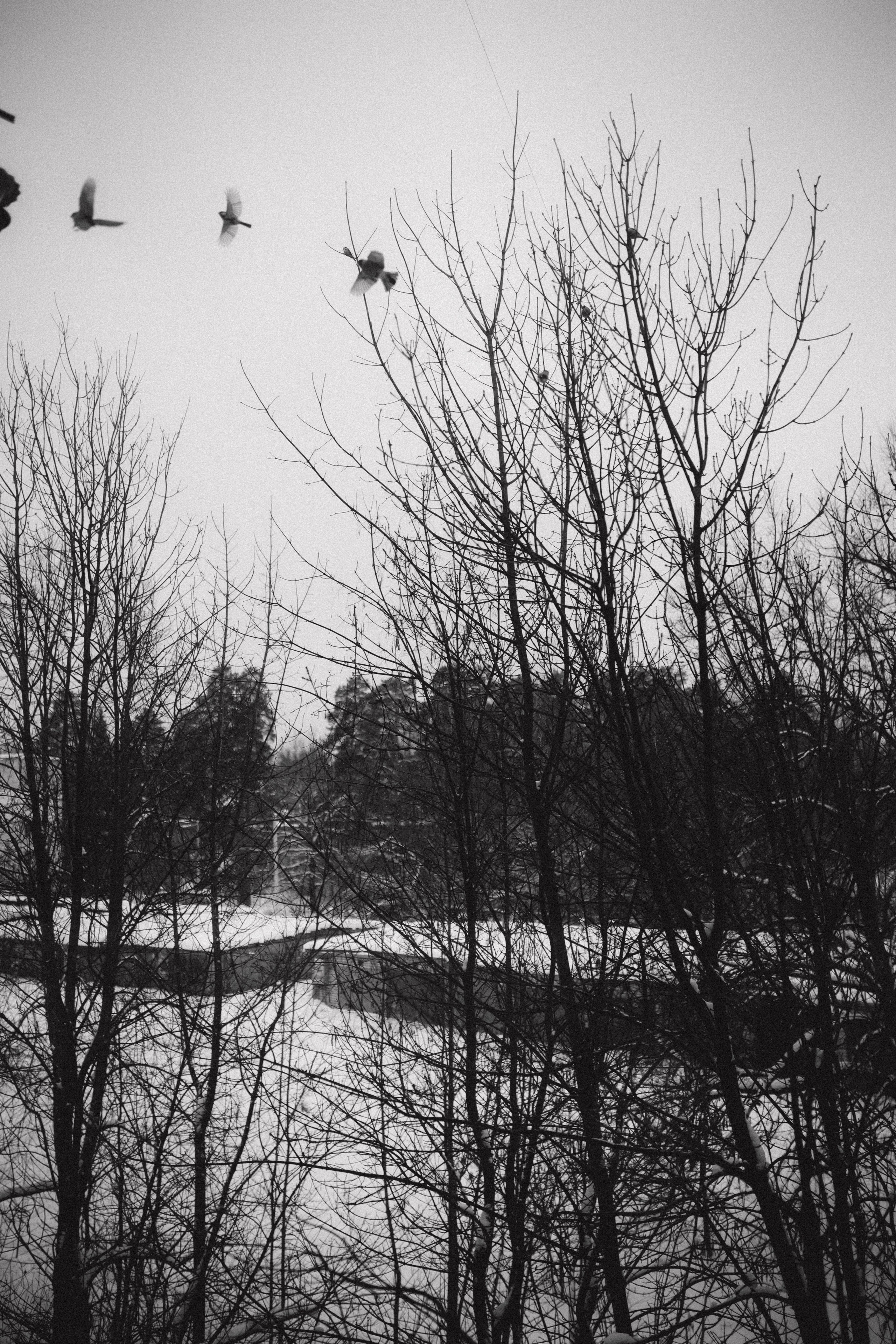 Беременная фотосессия Виктории и Влада. Семейный фотограф в Москве и Люберцах Юлия Гуськова