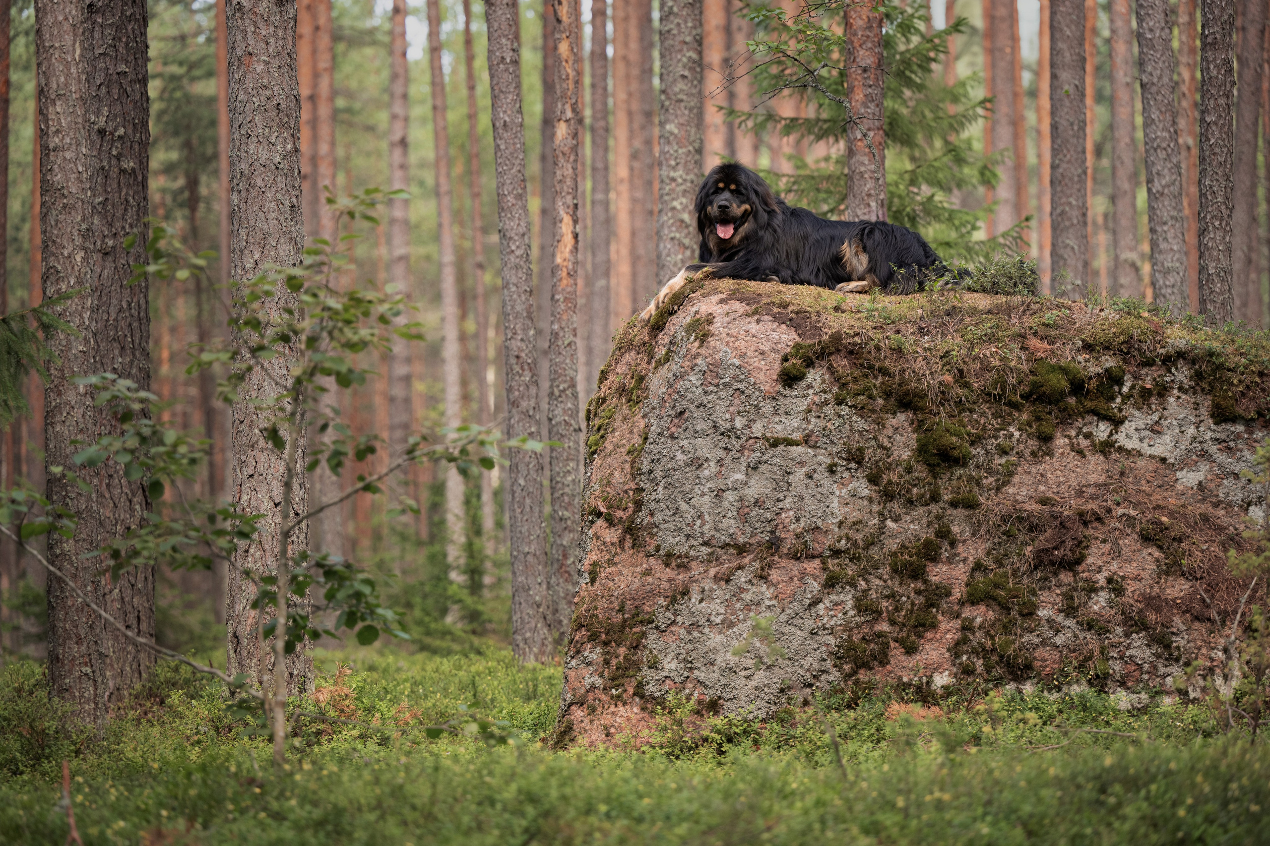 Мои Злата и Фред. -