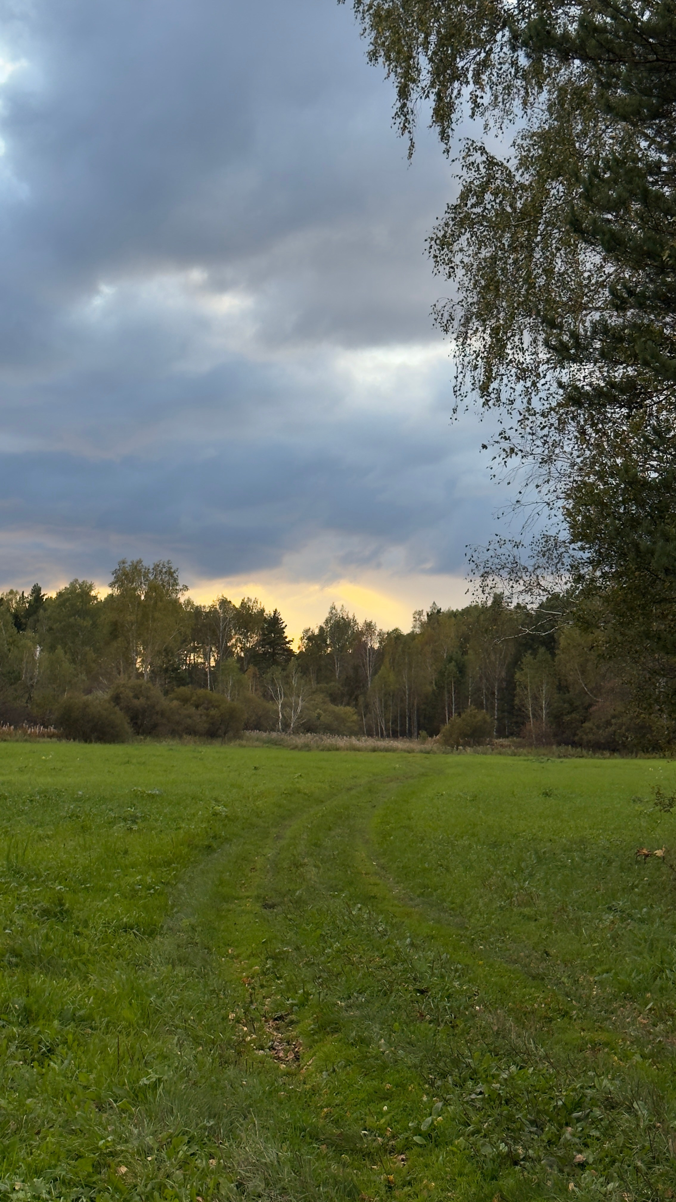Гид от персонального стилиста: фотосессия в деревенском стиле. Екатерина Ананенко: персональный стилист из Красноярска