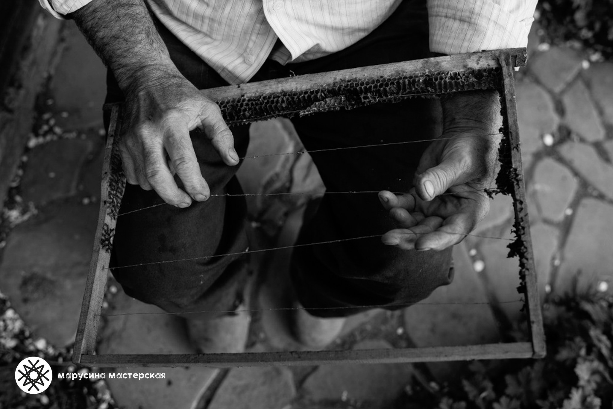 Авторская работа в рамках практикума по композиции