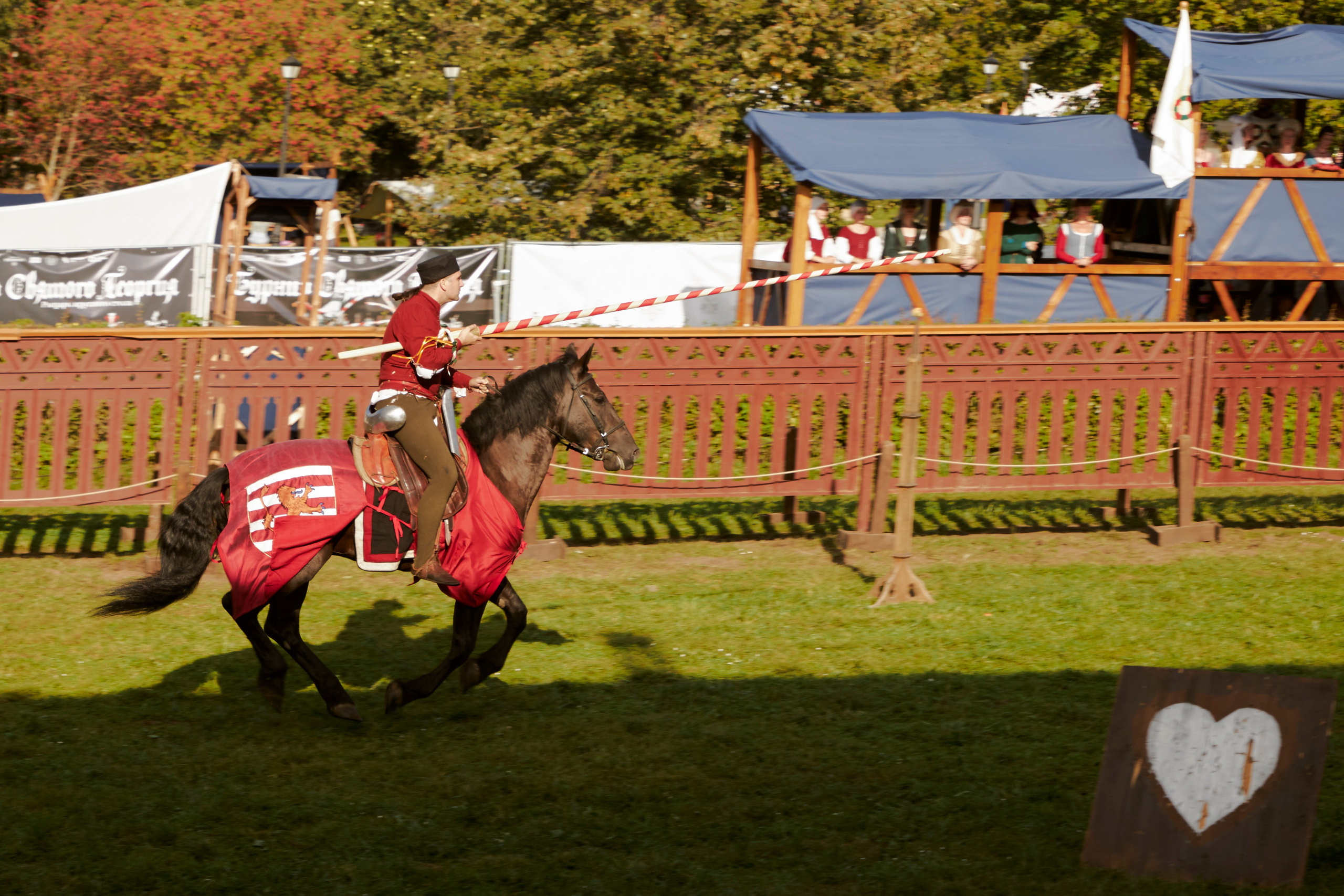 Рыцарский турнир в Москве. Анна Потявина. Фотограф Москва