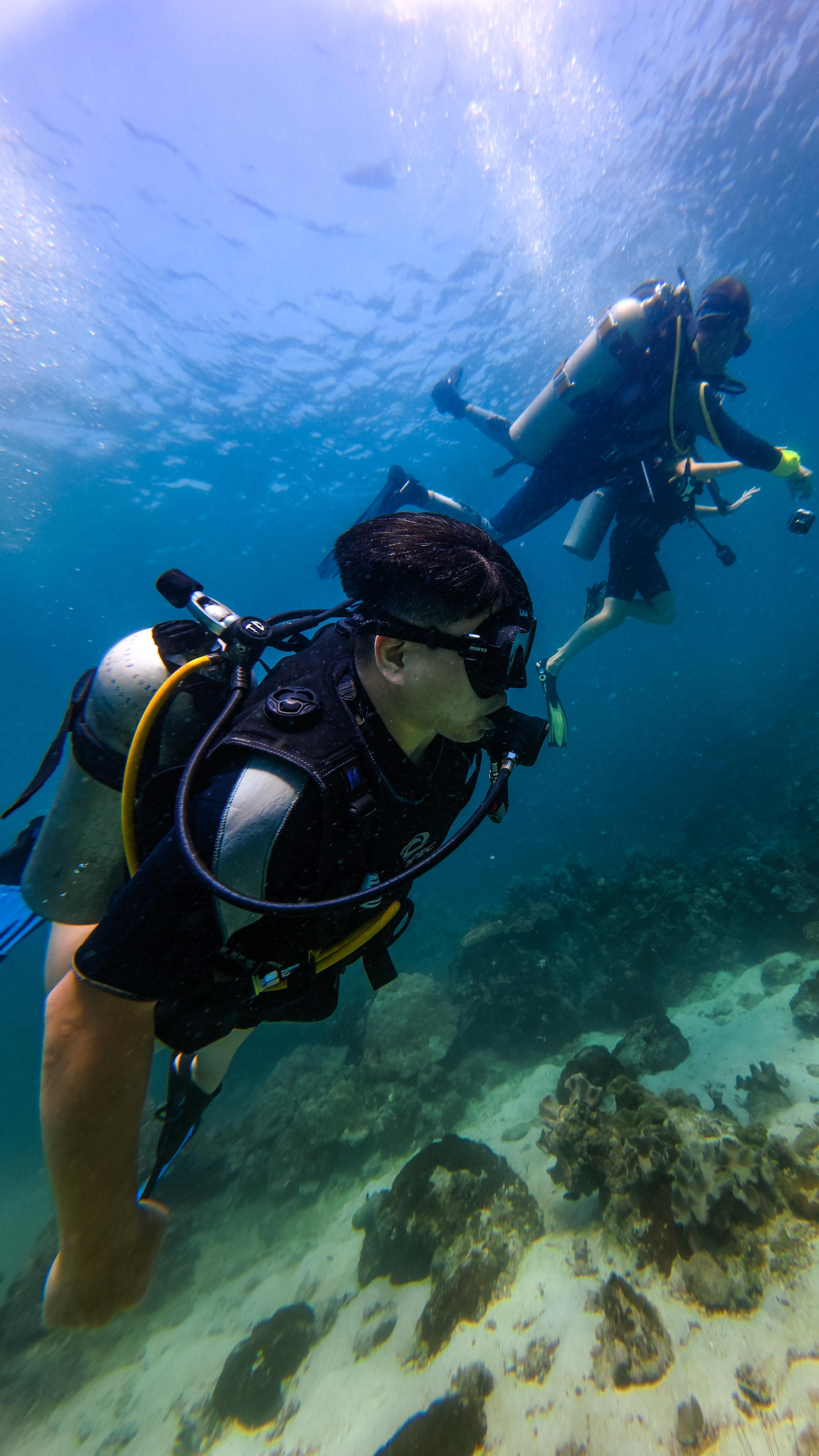 Для тех кто не боится сделать первый шаг. Дайвинг во Вьетнаме