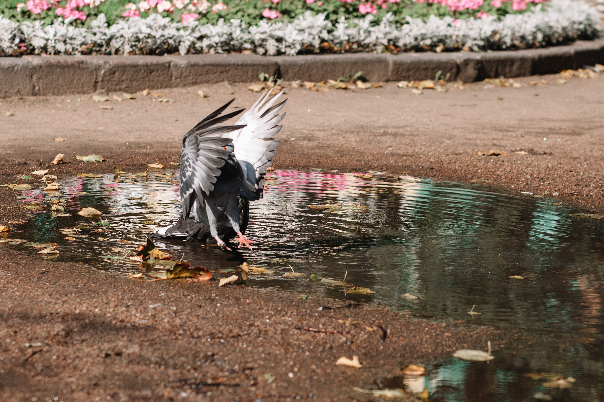 1-й слёт Urban Sketchers Россия SPb|Второй день. Семейный и свадебный фотограф в Майкопе Михаил Мартиросян