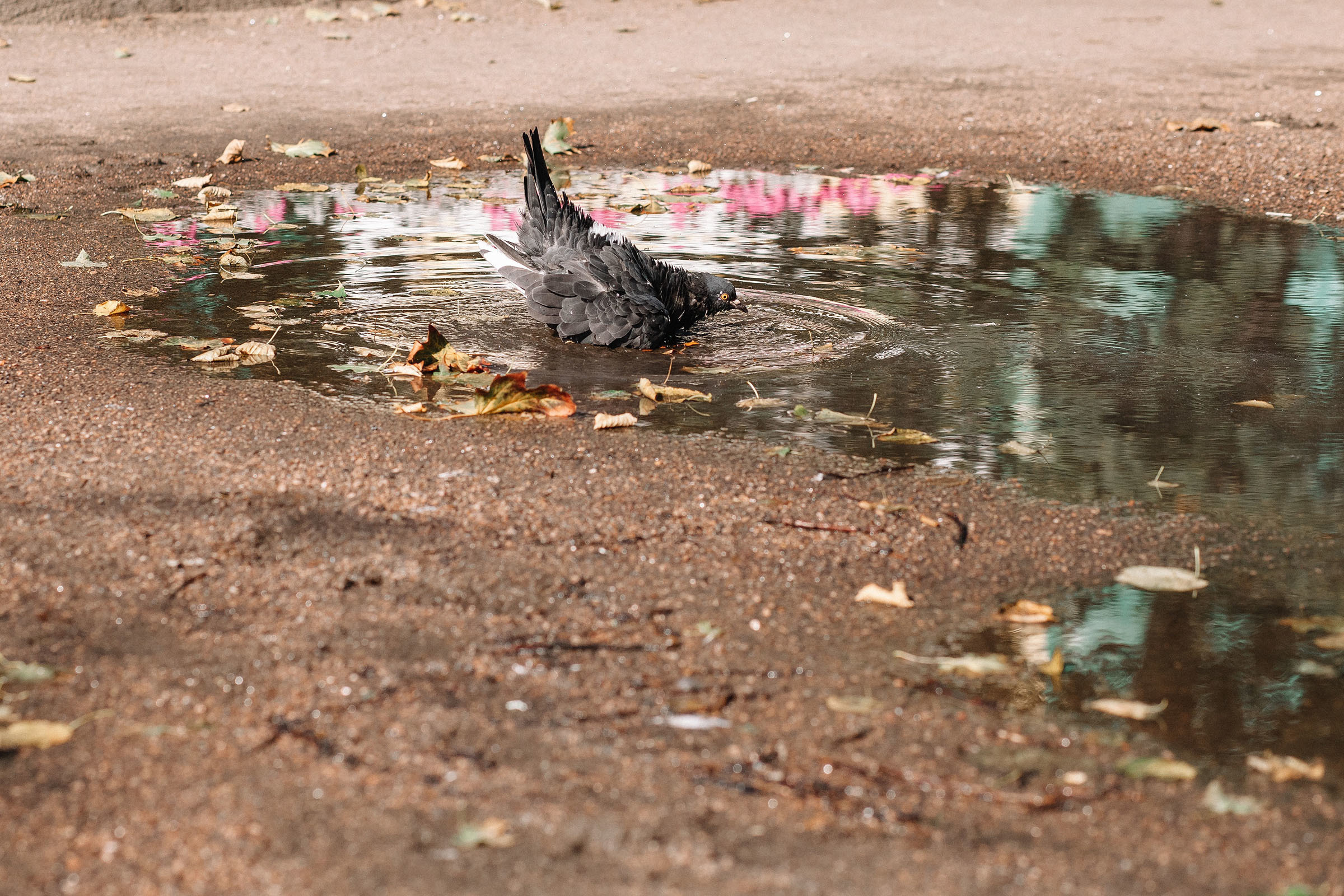 1-й слёт Urban Sketchers Россия SPb|Второй день. Семейный и свадебный фотограф в Майкопе Михаил Мартиросян
