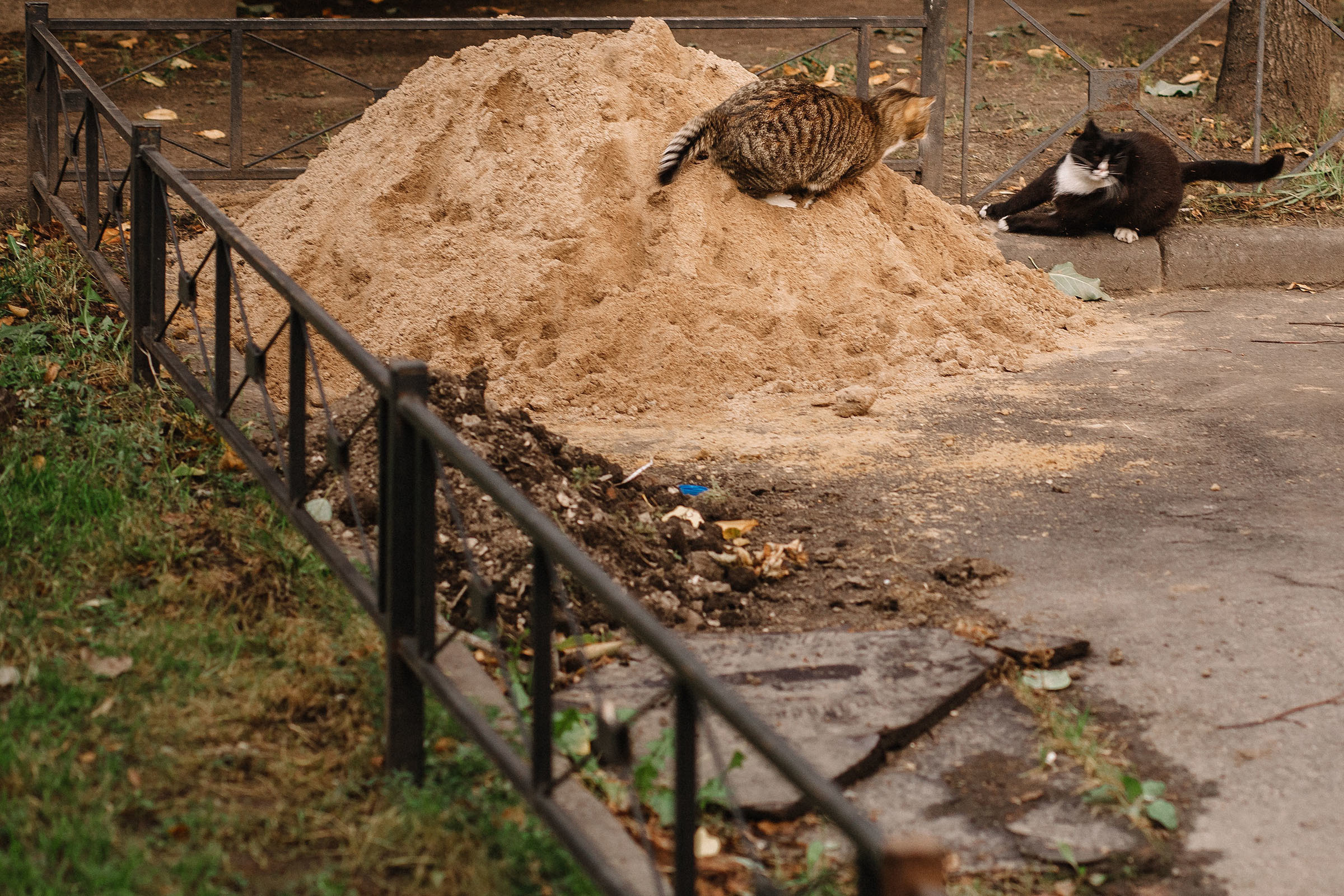 1-й слёт Urban Sketchers Россия SPb|Второй день. Семейный и свадебный фотограф в Майкопе Михаил Мартиросян