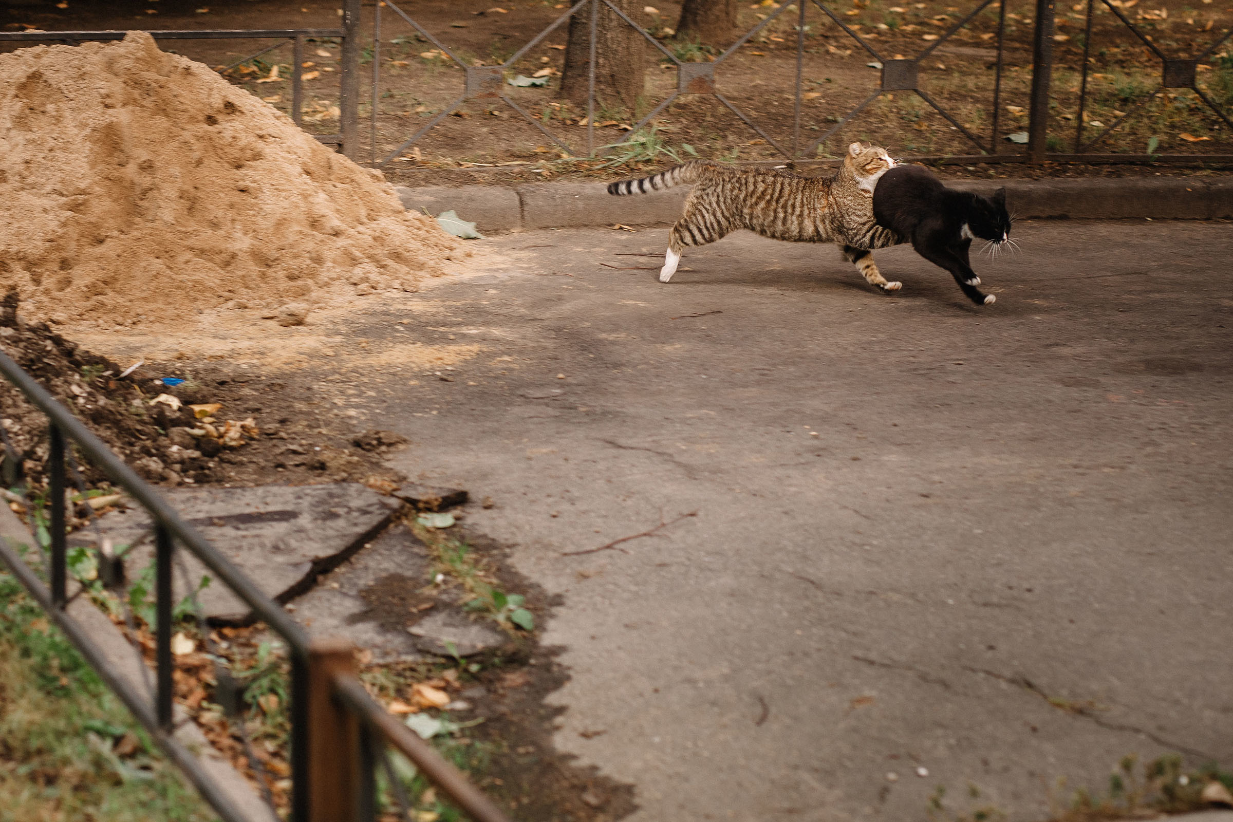 1-й слёт Urban Sketchers Россия SPb|Второй день. Семейный и свадебный фотограф в Майкопе Михаил Мартиросян