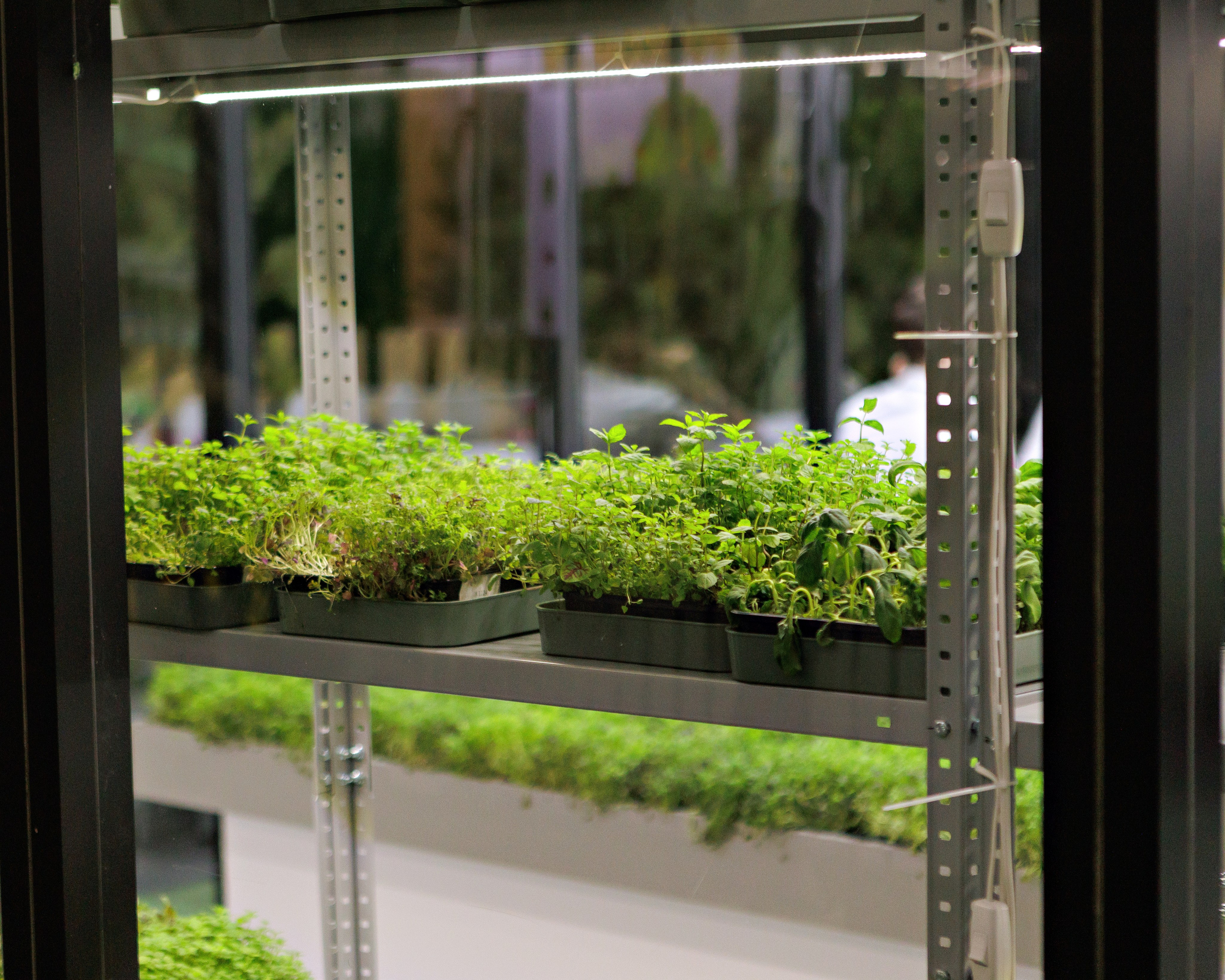 Город профессий АПК «Я В АГРО». Выпускные альбомы и школьный фотограф в Подольске, Троицке, Щербинке, Москве и Московской области