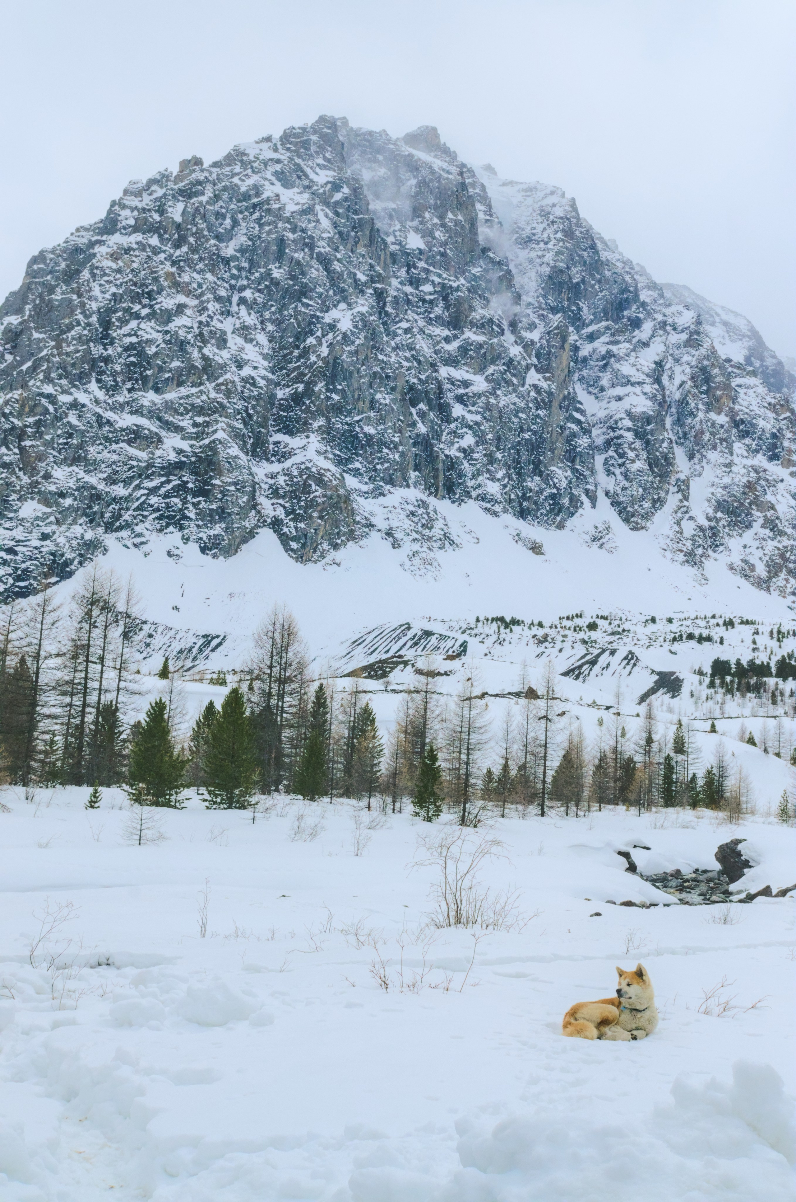 горный район Актру. гора Караташ