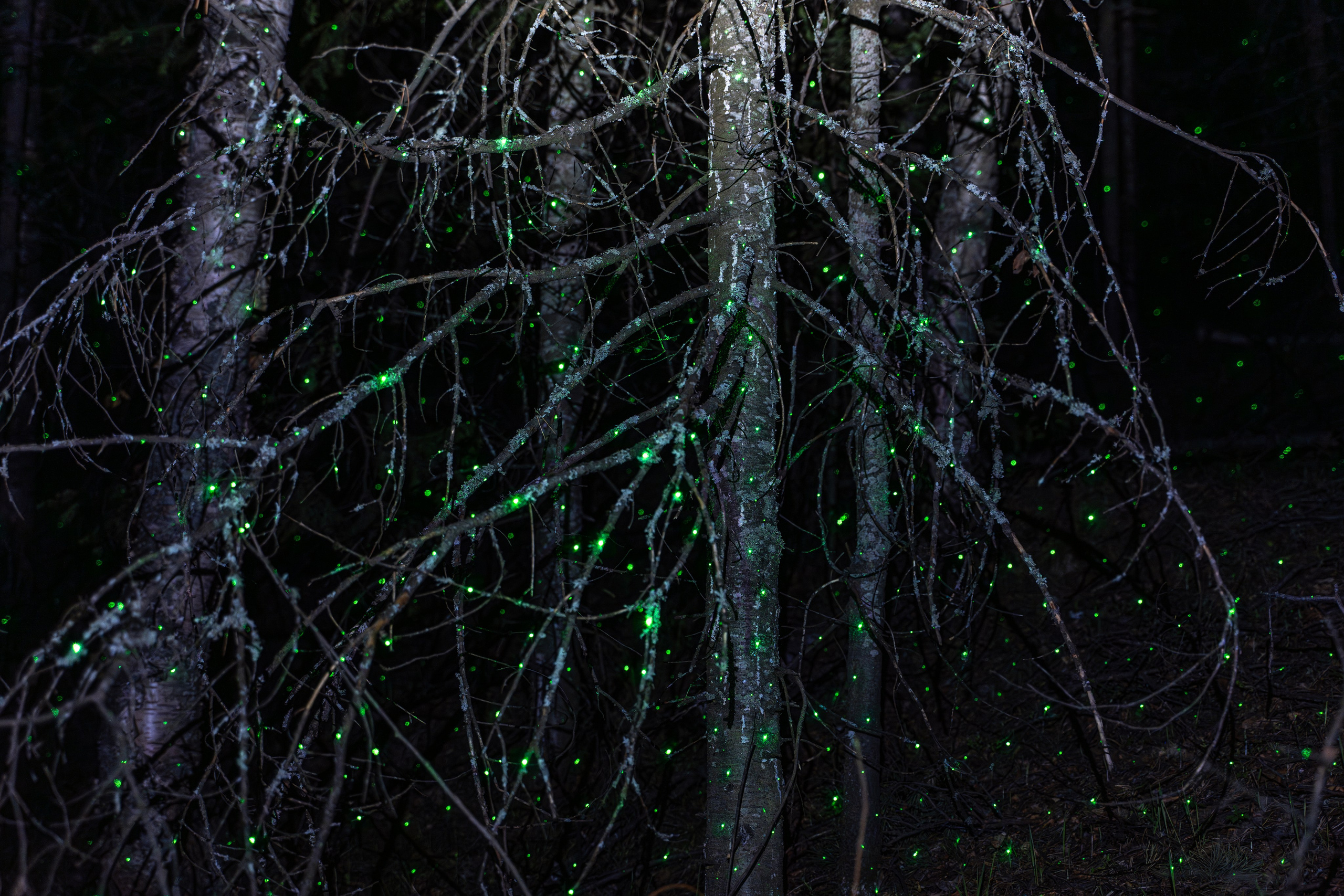 Пристанище. Элина Гусарова