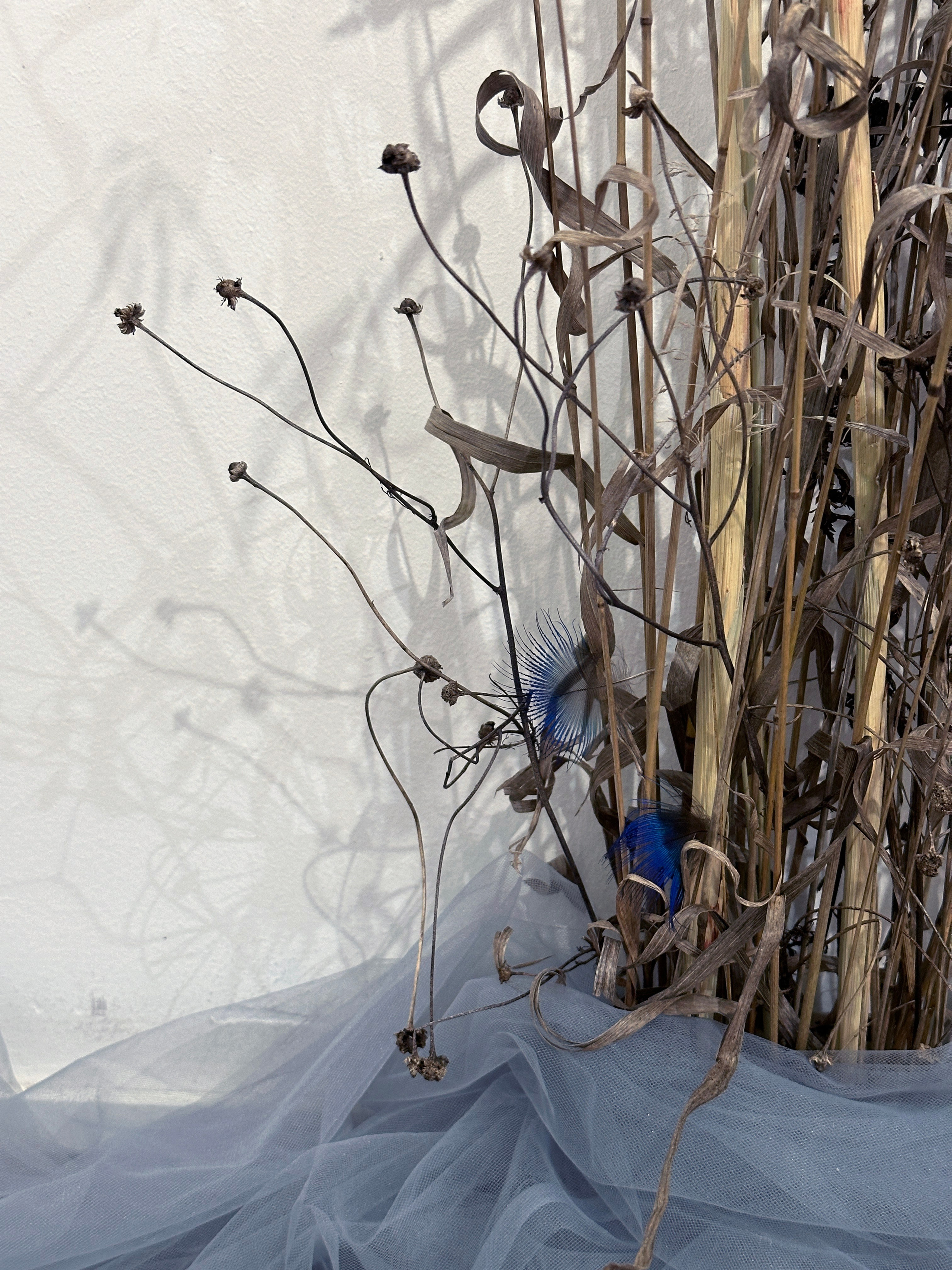 Проекты. Художественная фотография в Санкт-Петербурге Алина Берёзкина