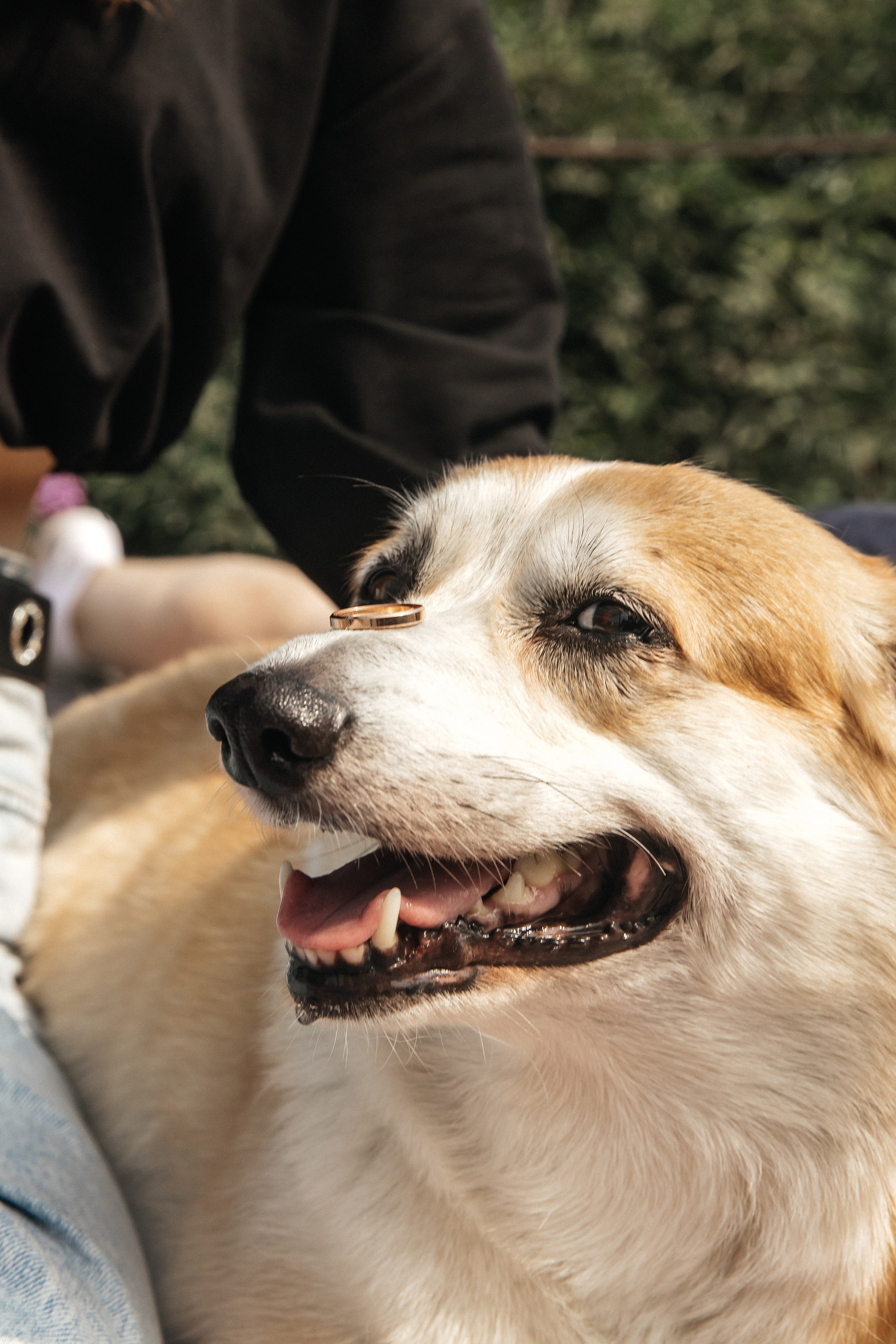 Влад и Анастасия. Свадебный фотограф Настя Шелл г. Череповец