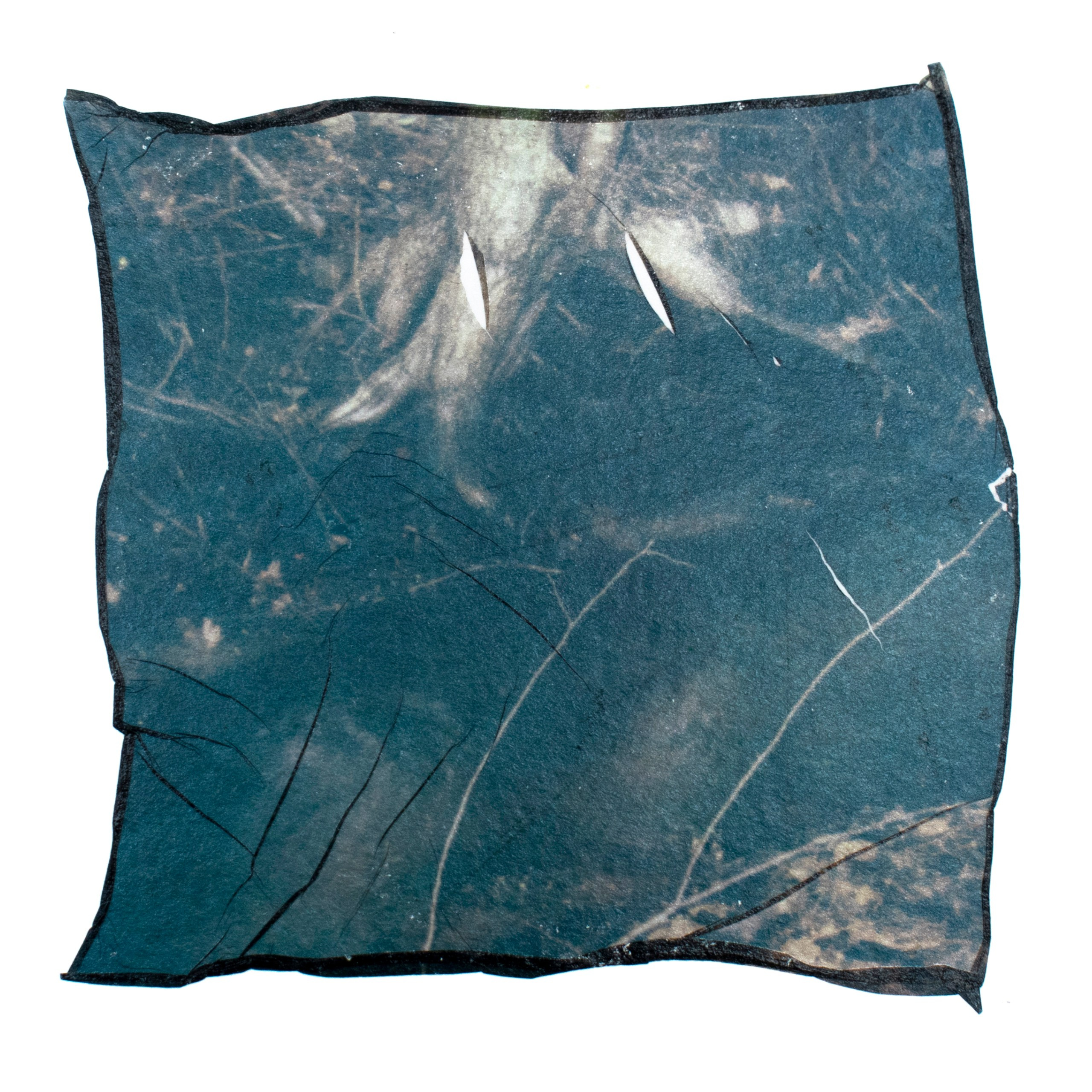 Displacements. Maria Pilkevich