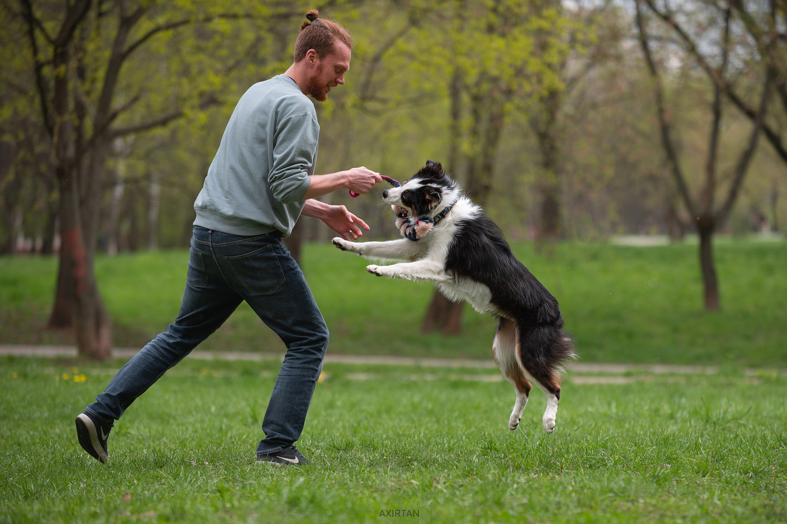 Ива. BLGKV питомник собак