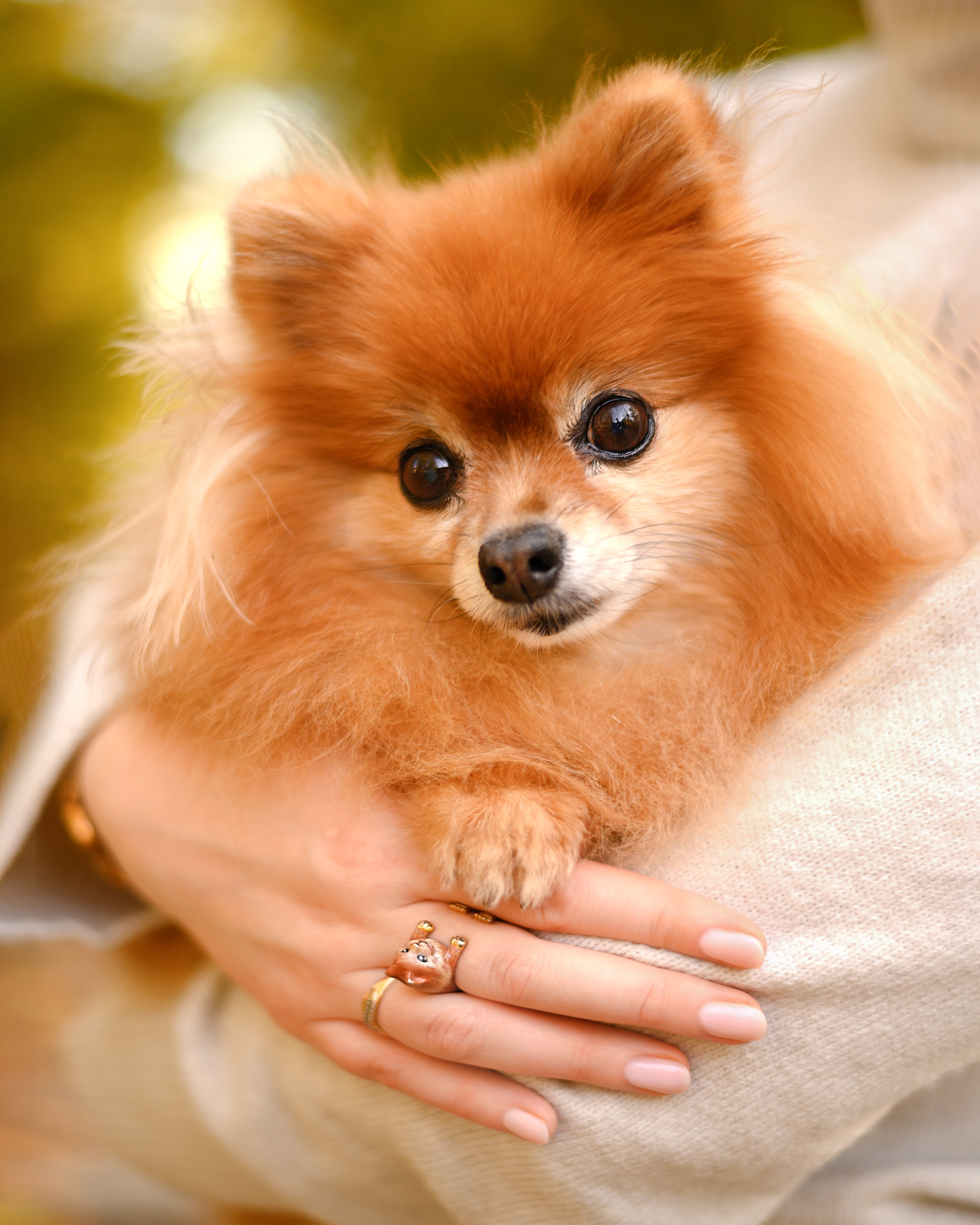 Марина и Ричи. Свадебный видеограф в Москве Никонова Анна