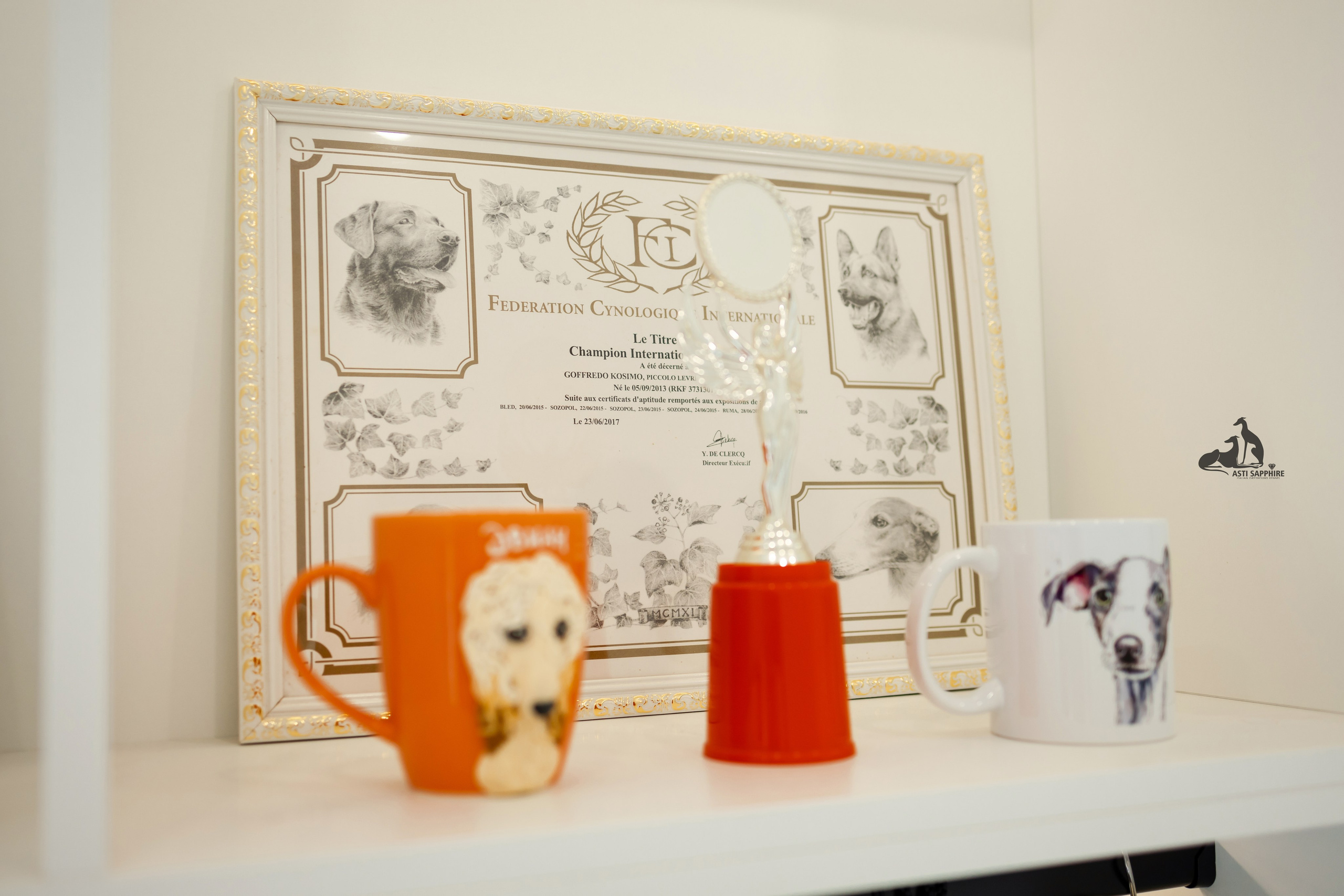 Online store. Professional Italian Greyhound Kennel RKF/FCI ASTI SAPPHIRE 💎 Sochi|St. Petersburg