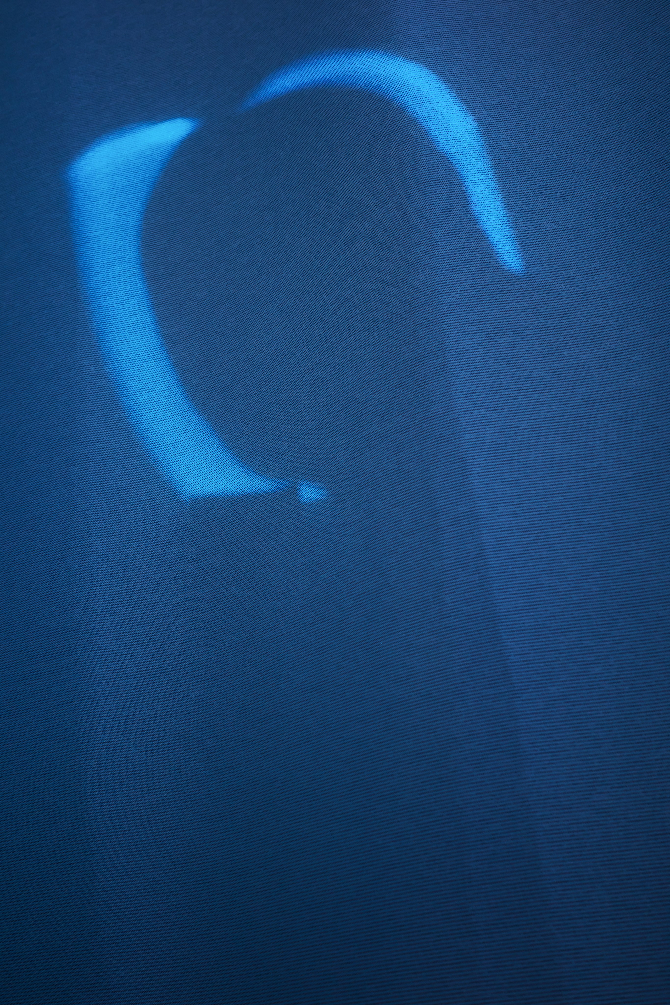 Тени весны 🪼. Миша Печёнкин | фотография