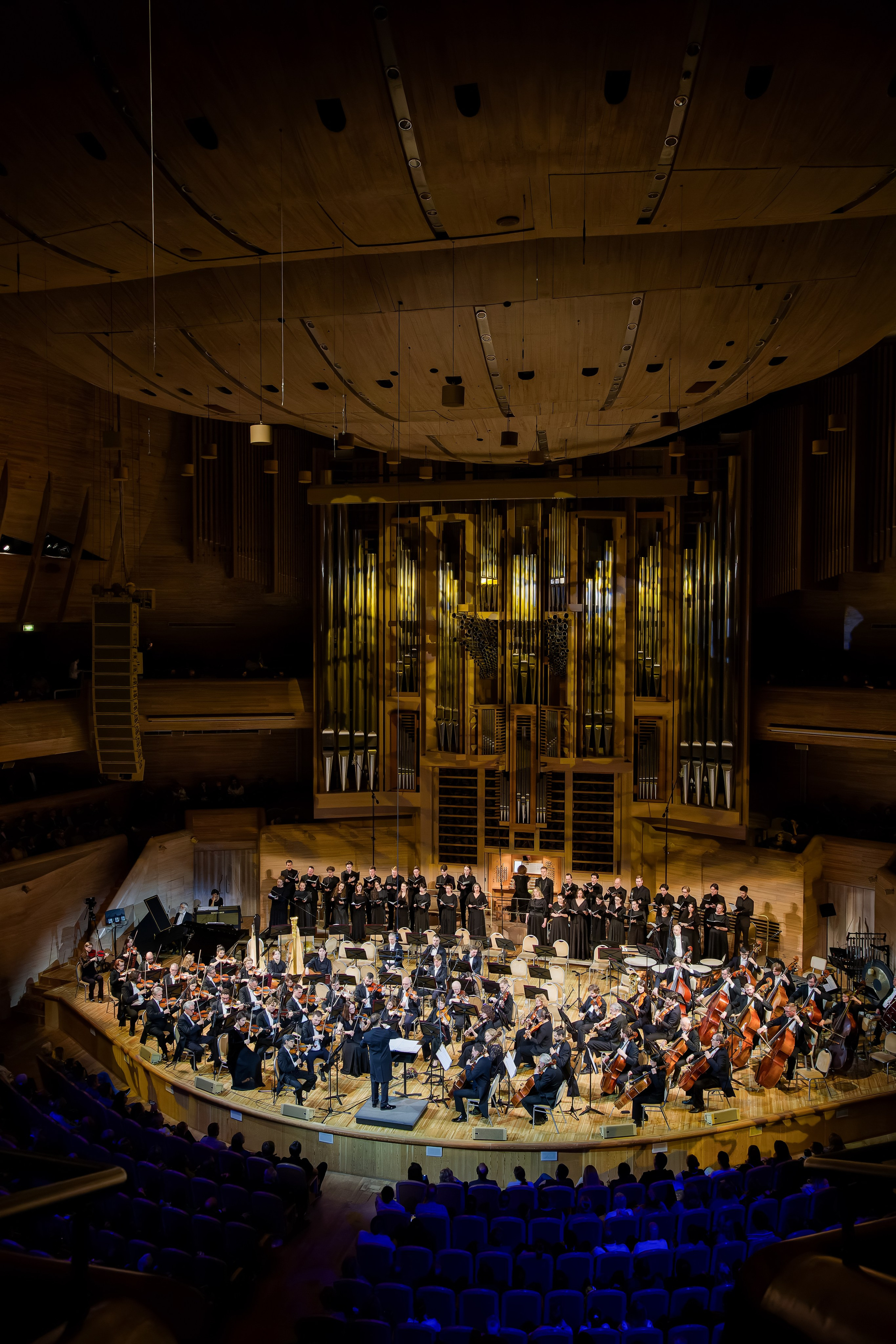 Репортажный фотограф в Москве Екатерина Якель
