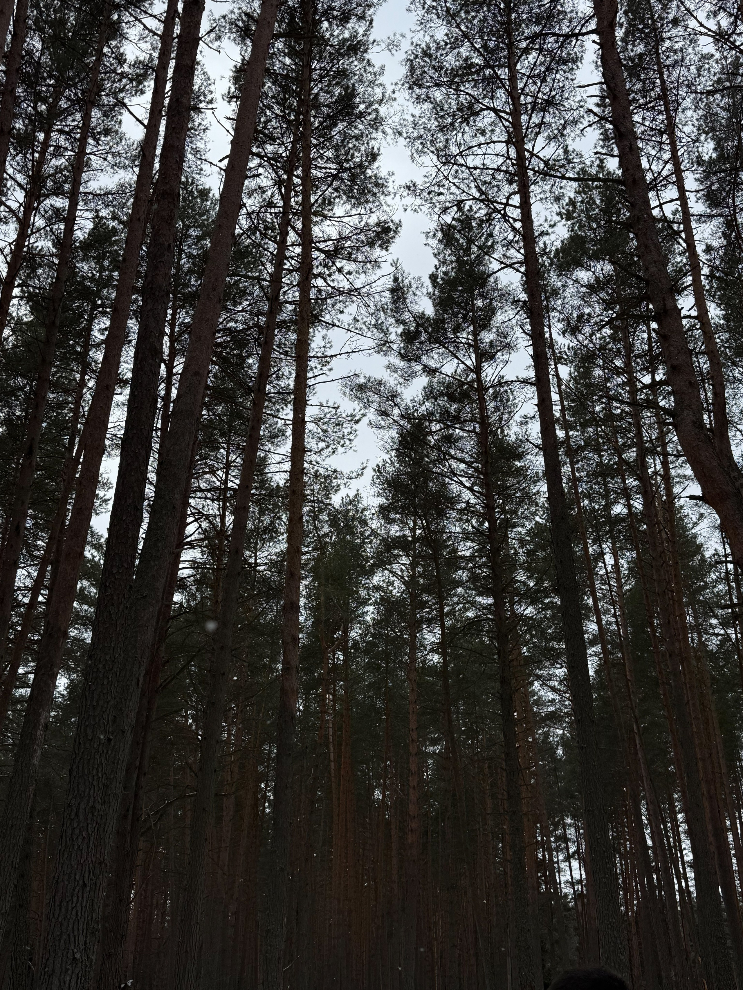 Куда поехать на выходные?. Свадебный фотограф Марина Попова