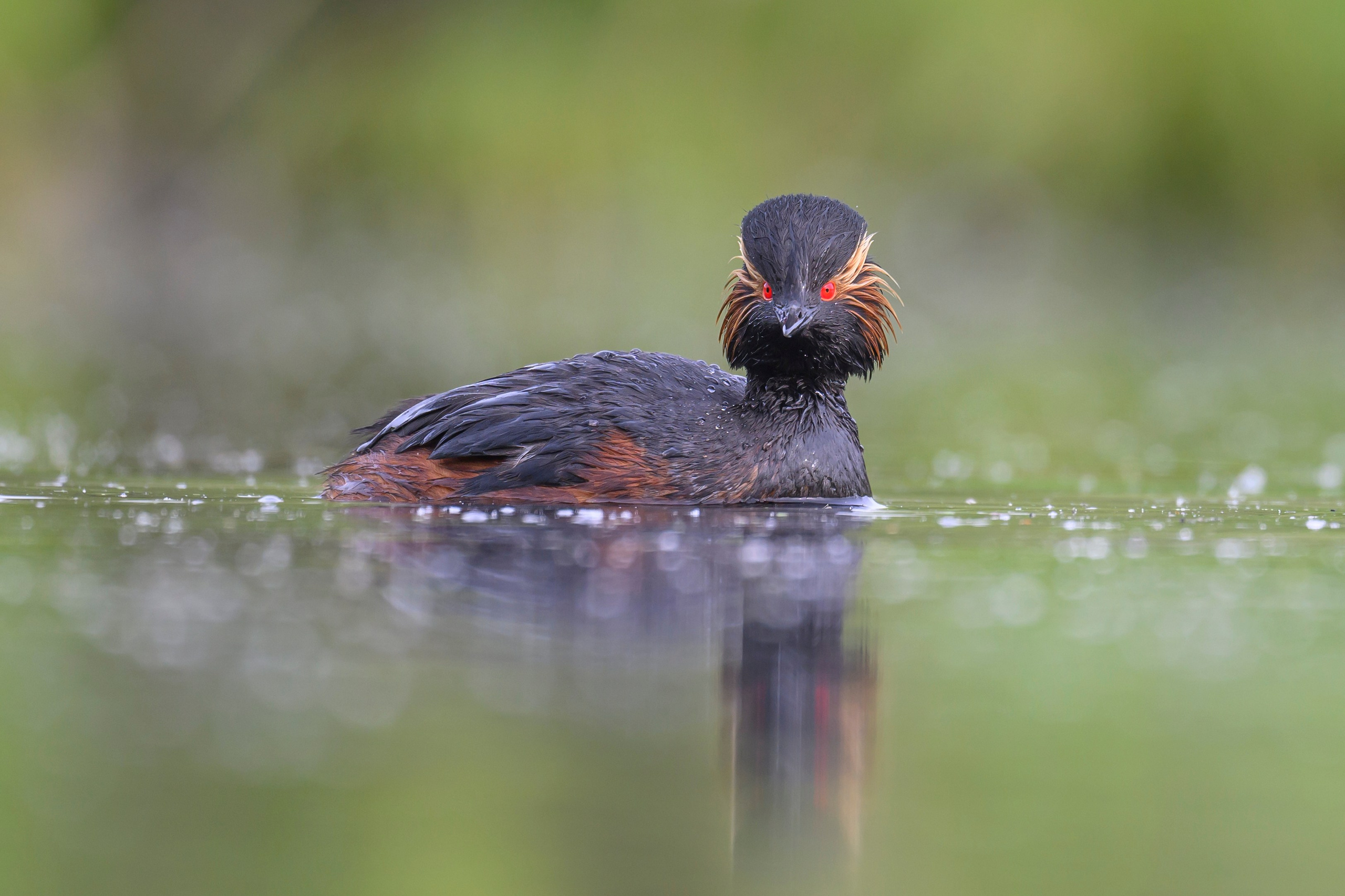 Мягкий свет. Фотограф Сергей Пупонин