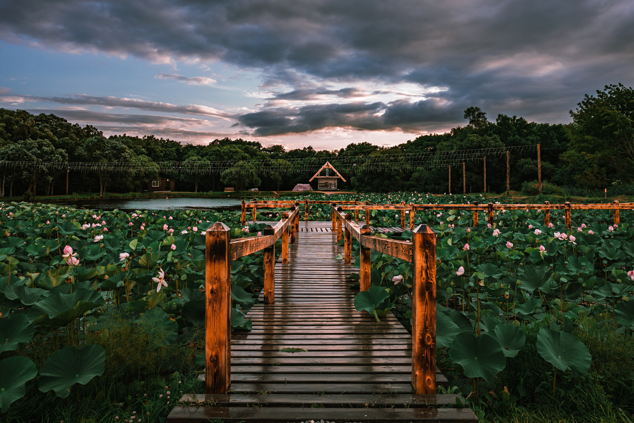 Пруд «Семейный» | с. Петровка. Иван Зайцев (IZIART) — создание культурного кода через фото и видео