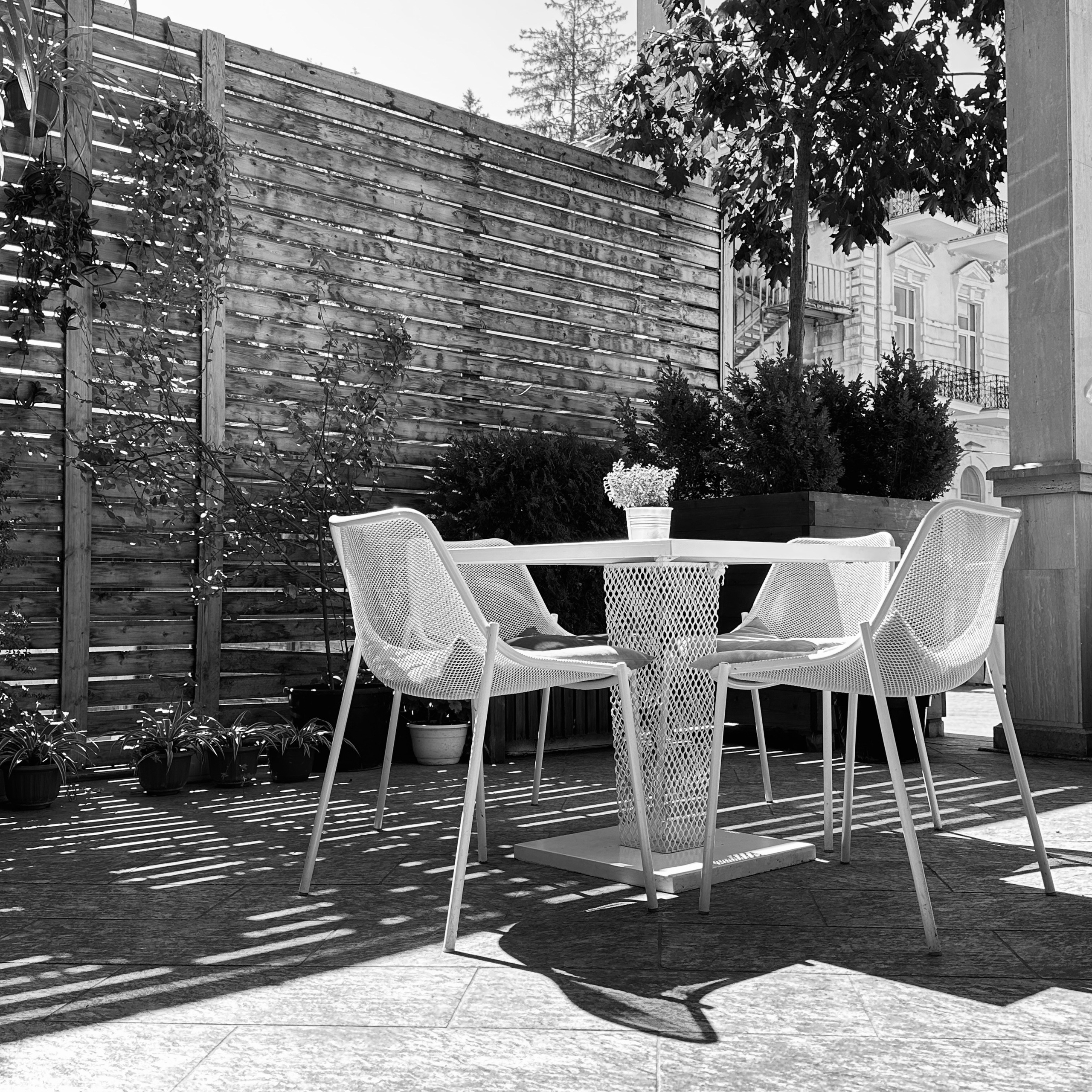 Кисловодск. Смотри, красота!