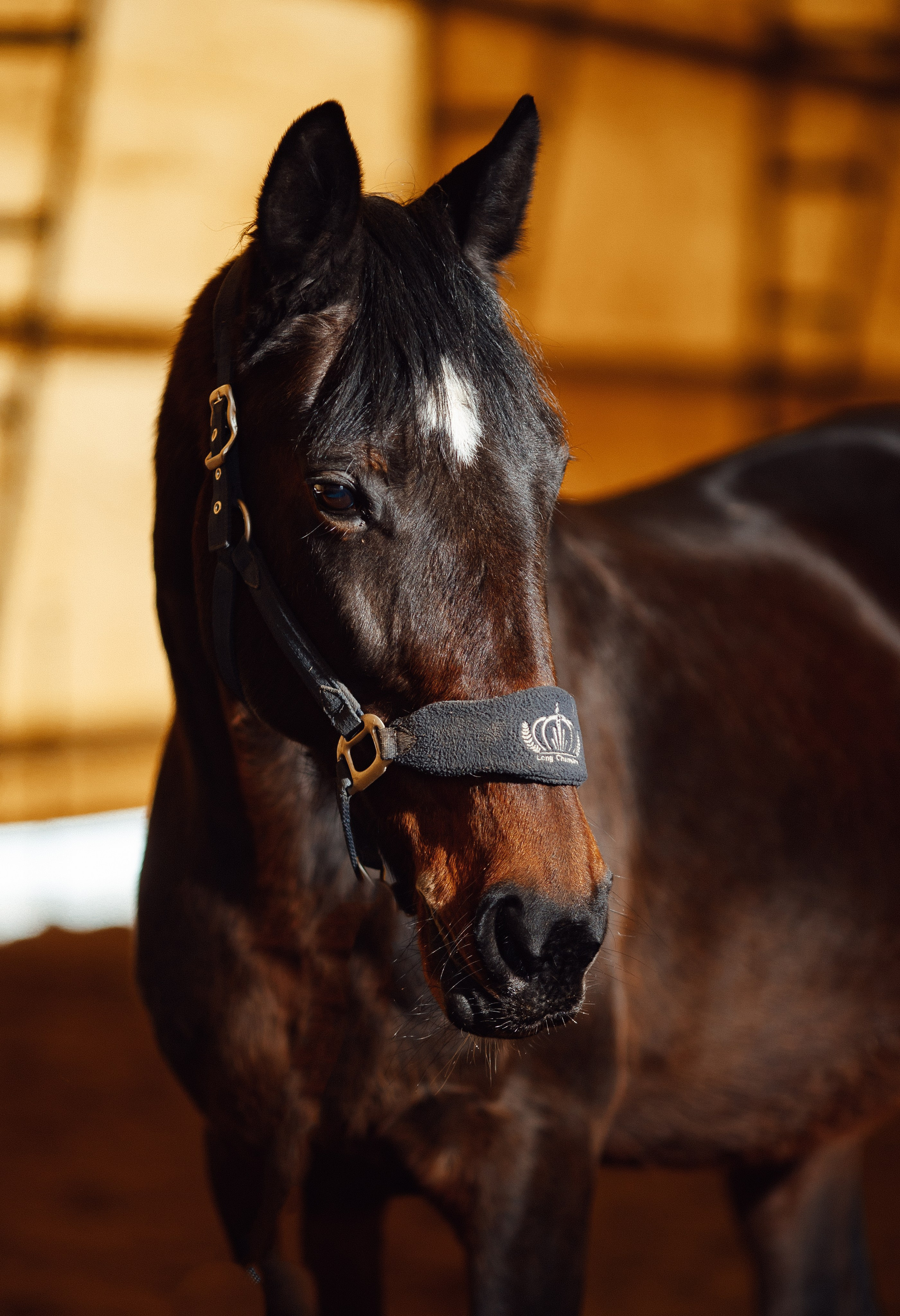 Вилла. Фотограф Варвара Ермоленко