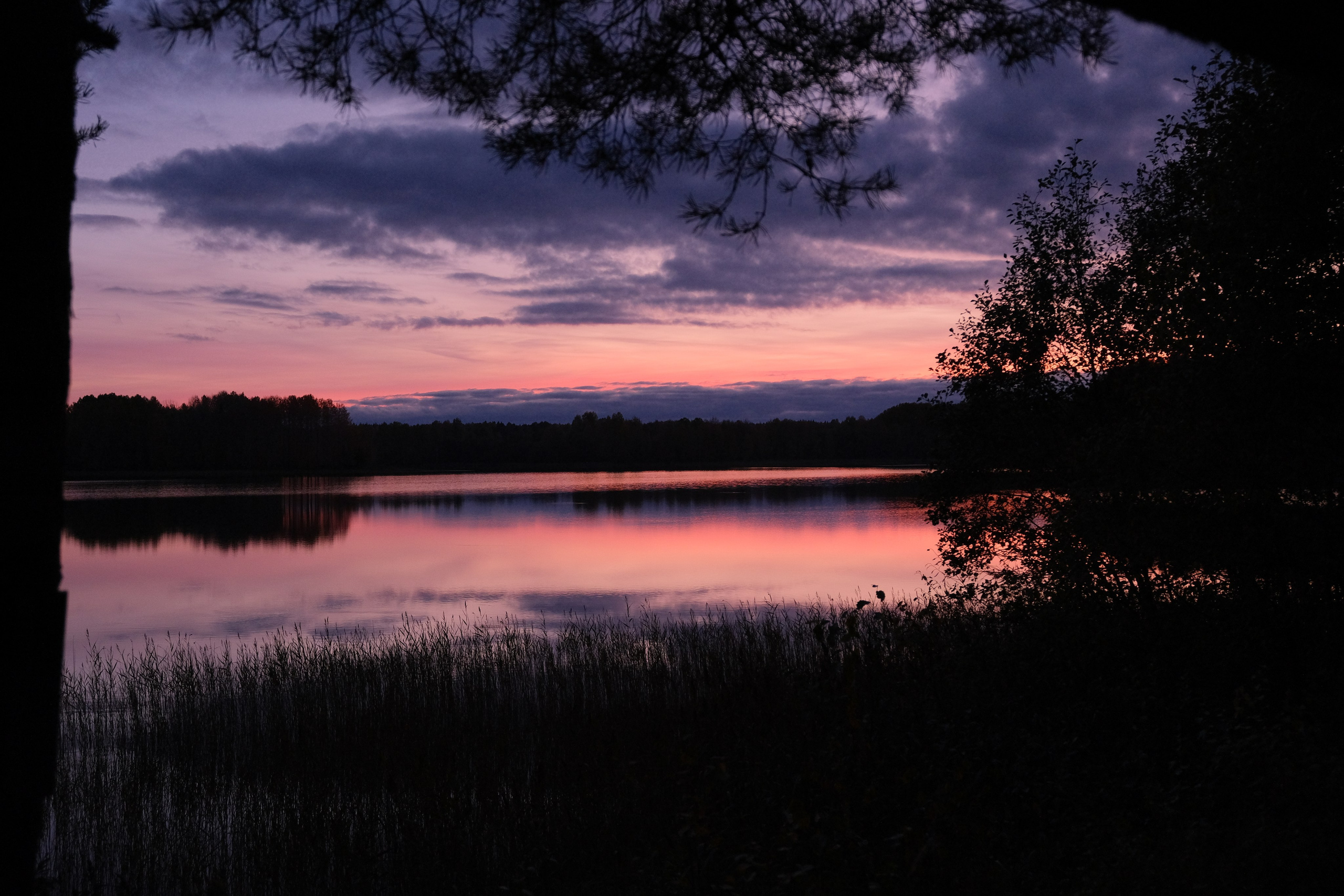 Русский север 27.09.25 — 05.10.25. Фотострелка