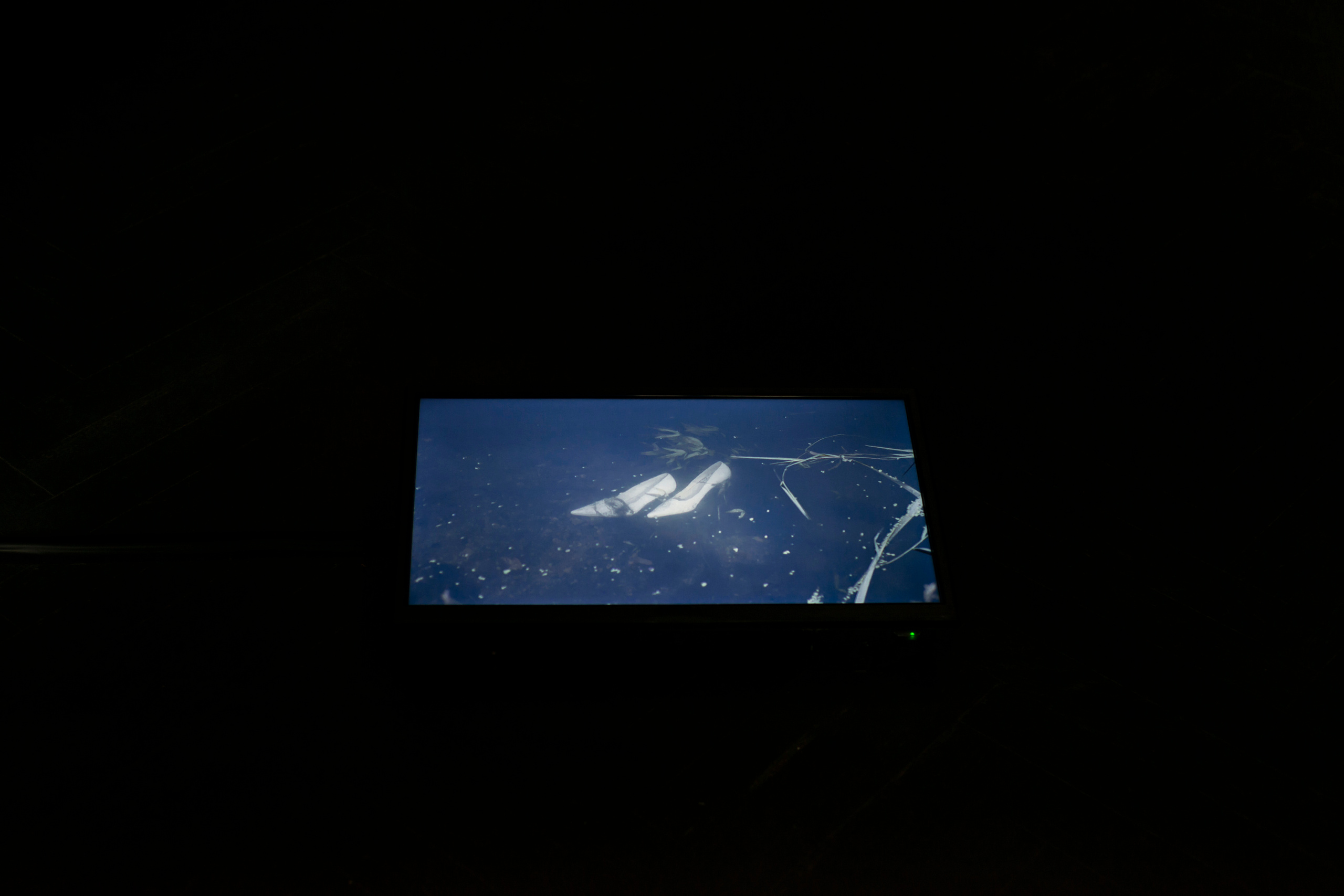 Фотографический музей «Дом Метенкова», г. Екатеринбург, 2022 г. Plechinta Ekaterina — documentary photographer