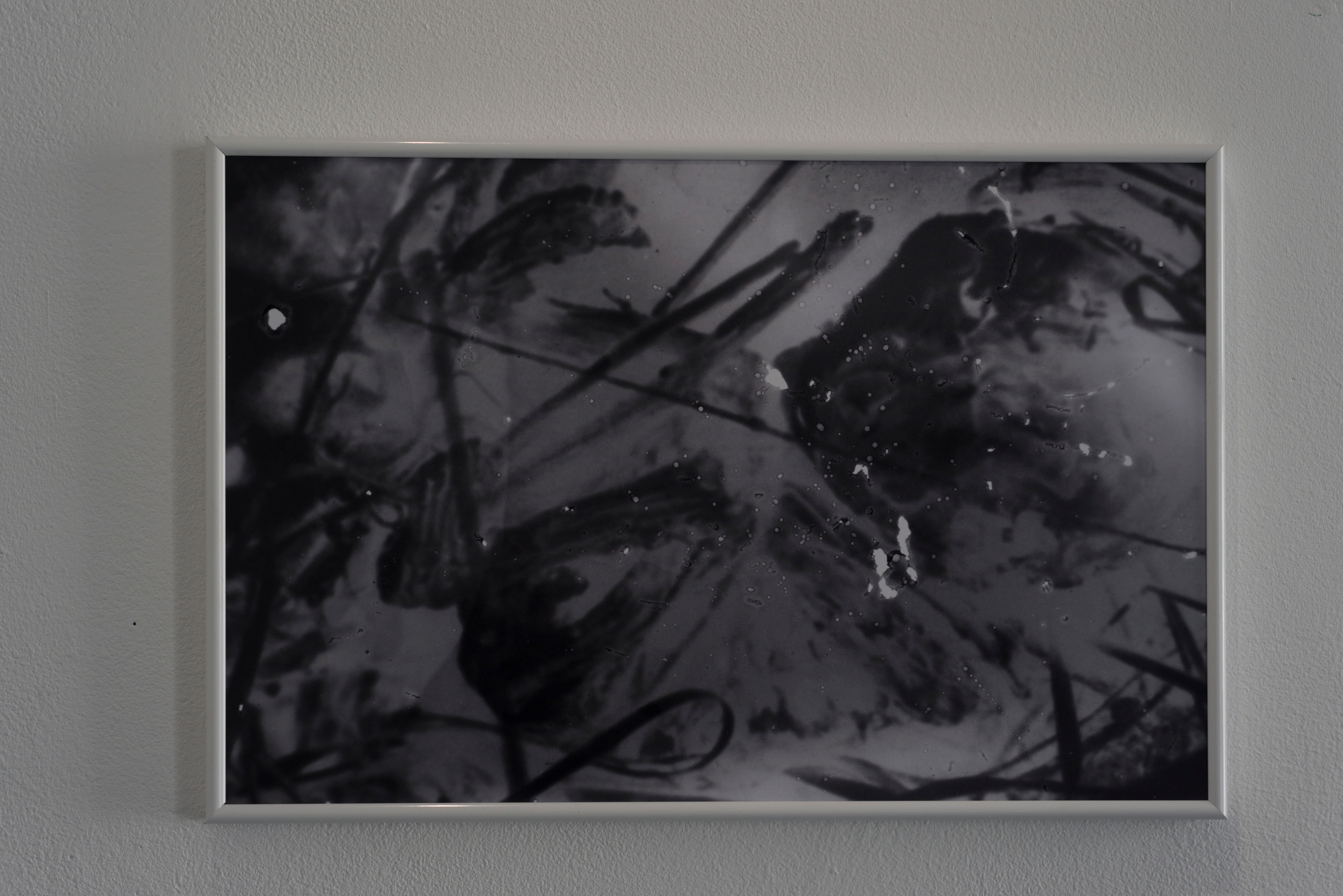 Фотографический музей «Дом Метенкова», г. Екатеринбург, 2022 г. Plechinta Ekaterina — documentary photographer