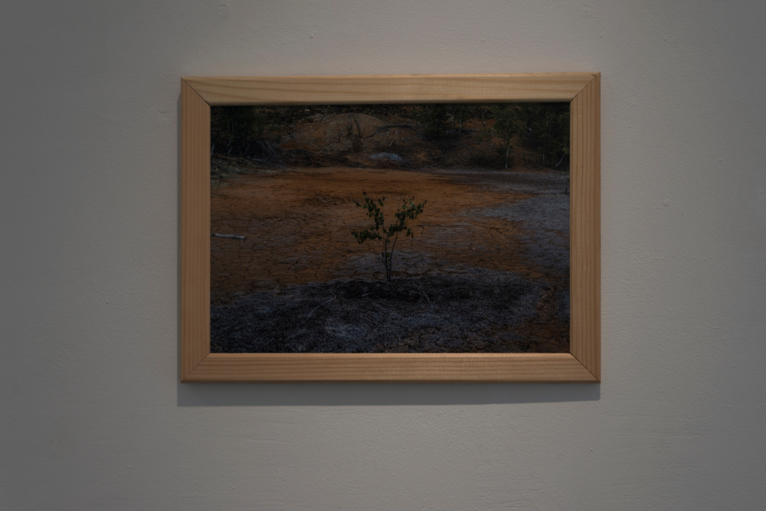 Фотографический музей «Дом Метенкова», г. Екатеринбург, 2022 г. Plechinta Ekaterina — documentary photographer