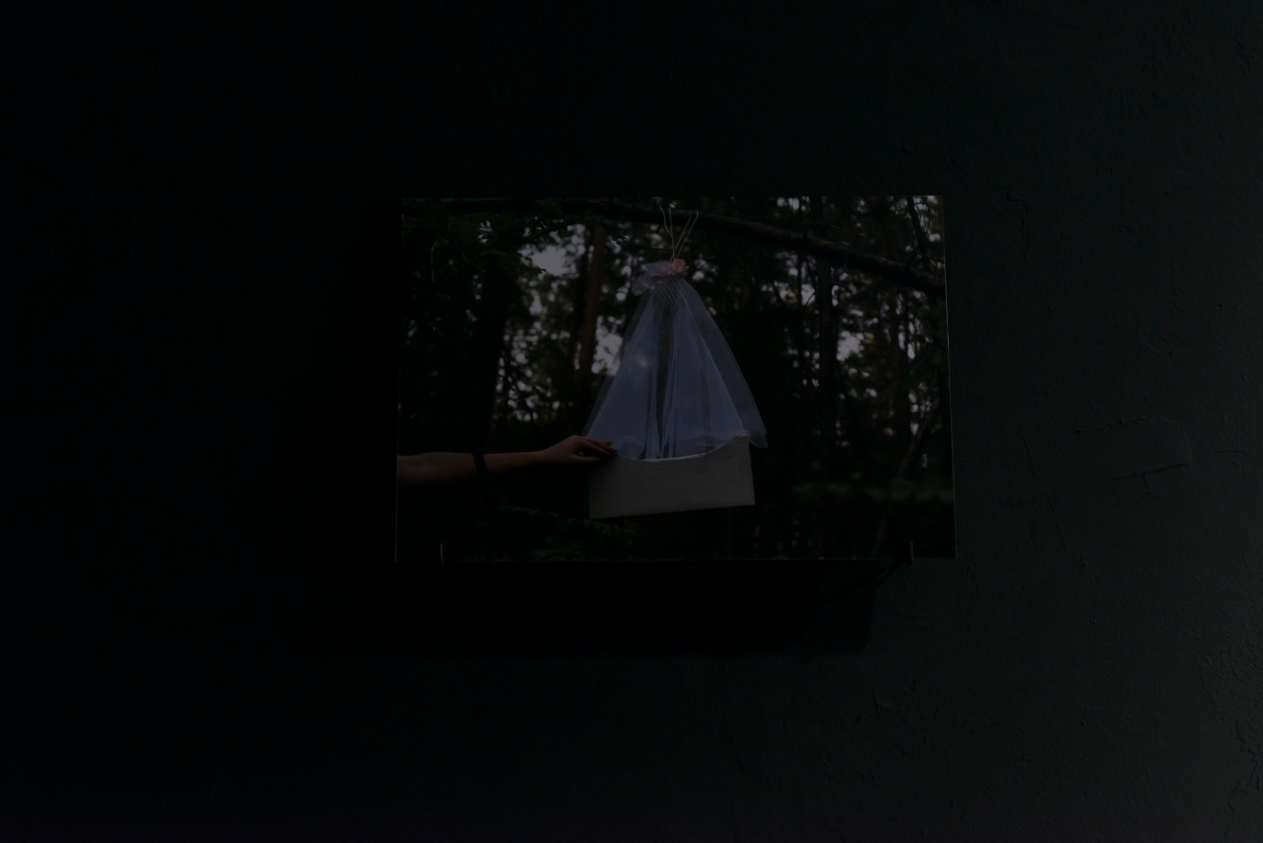 Фотографический музей «Дом Метенкова», г. Екатеринбург, 2022 г. Plechinta Ekaterina — documentary photographer