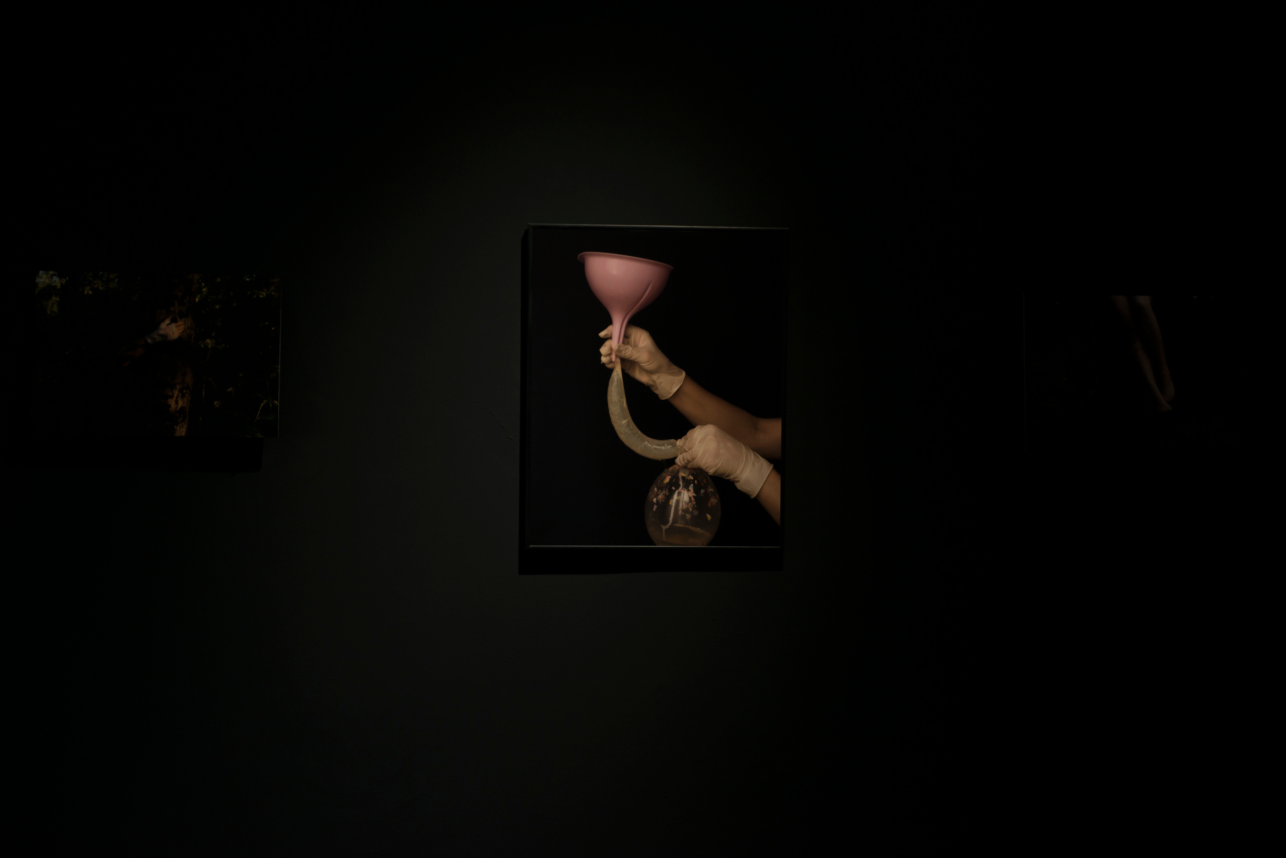 Фотографический музей «Дом Метенкова», г. Екатеринбург, 2022 г. Plechinta Ekaterina — documentary photographer