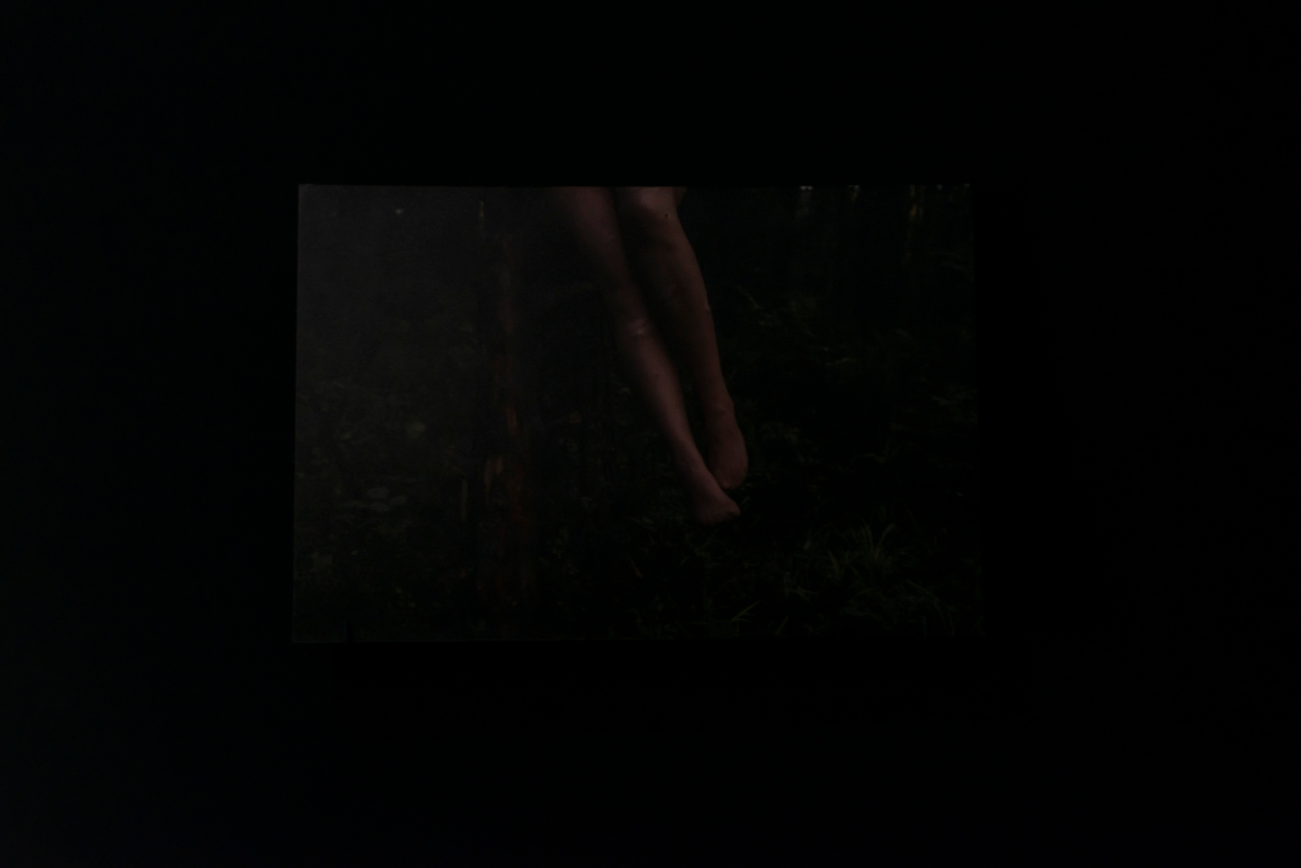 Фотографический музей «Дом Метенкова», г. Екатеринбург, 2022 г. Plechinta Ekaterina — documentary photographer