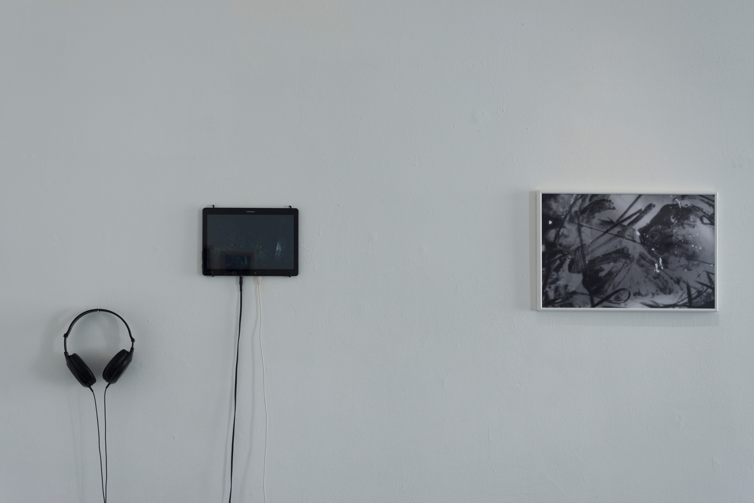 Фотографический музей «Дом Метенкова», г. Екатеринбург, 2022 г. Plechinta Ekaterina — documentary photographer